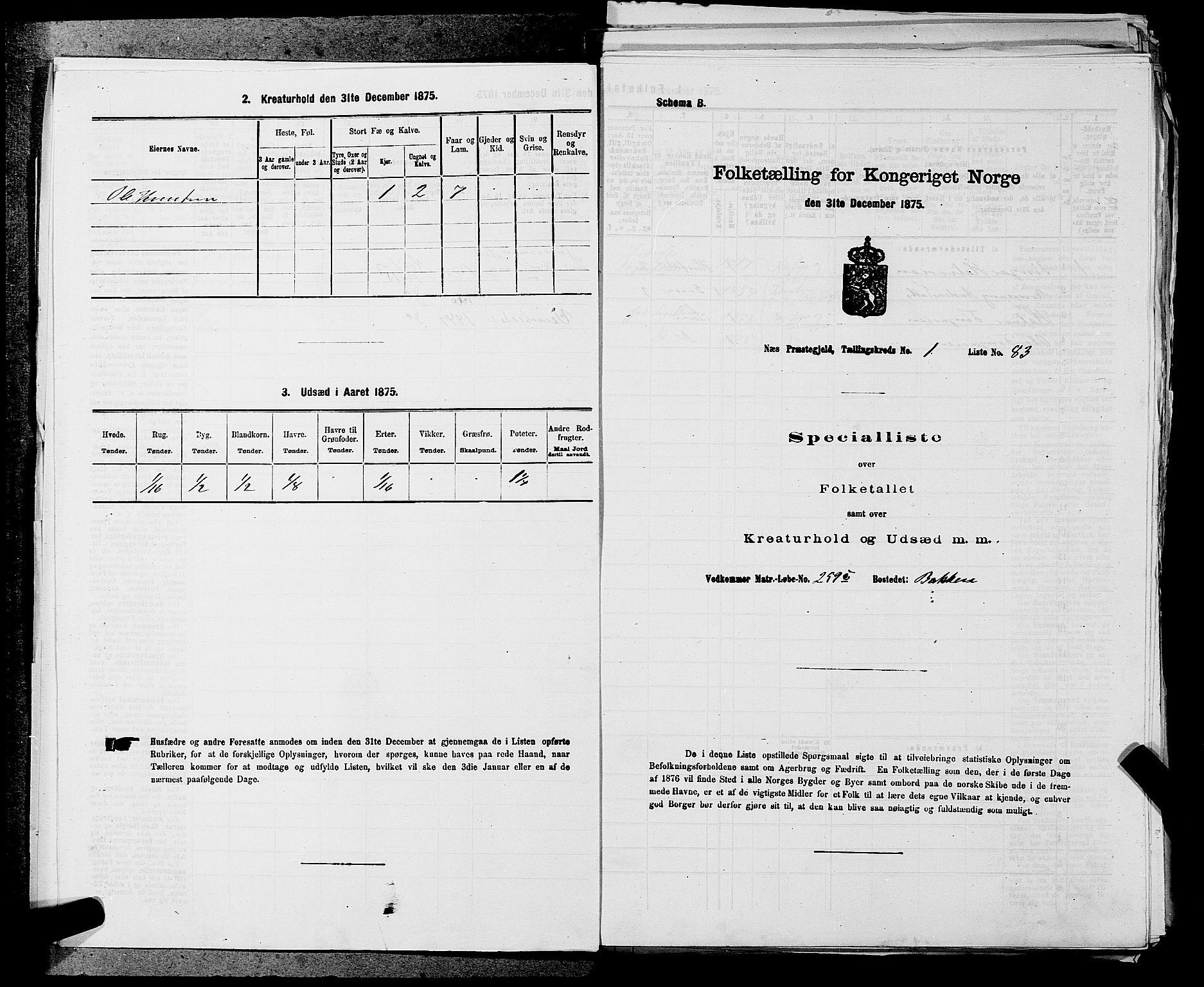 SAKO, 1875 census for 0616P Nes, 1875, p. 61