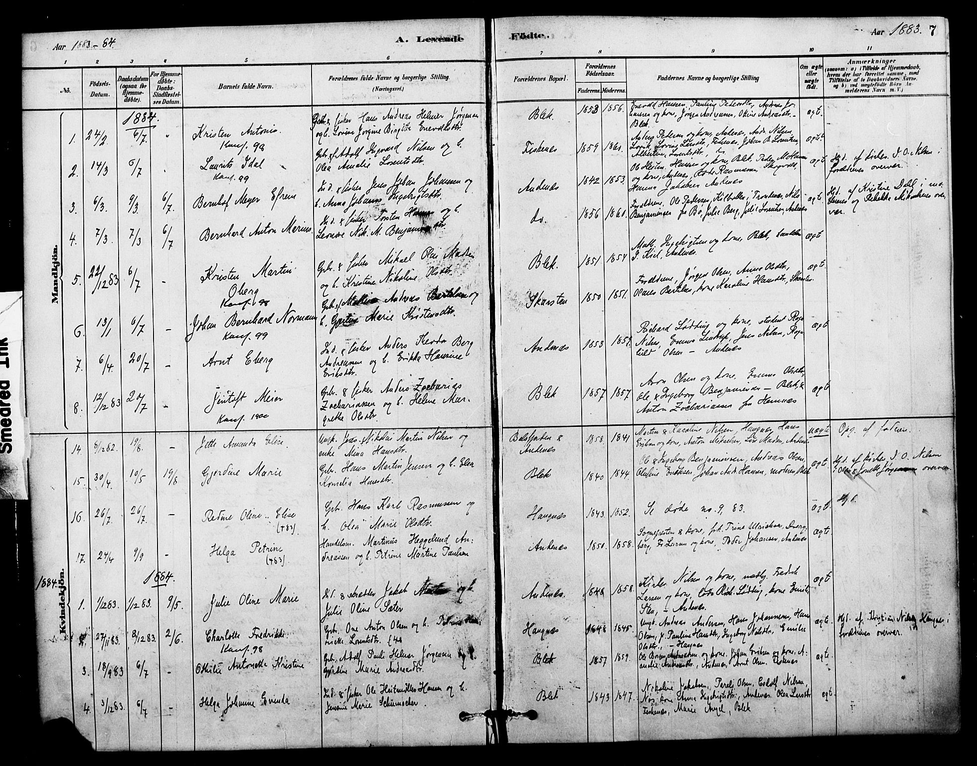Ministerialprotokoller, klokkerbøker og fødselsregistre - Nordland, SAT/A-1459/899/L1436: Parish register (official) no. 899A04, 1881-1896, p. 7