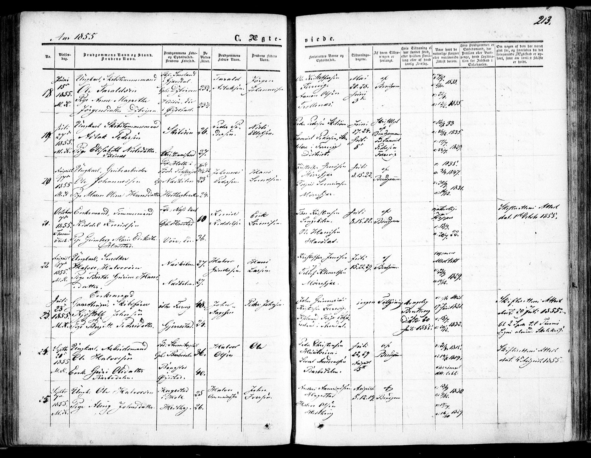 Tromøy sokneprestkontor, SAK/1111-0041/F/Fa/L0006: Parish register (official) no. A 6, 1855-1863, p. 213