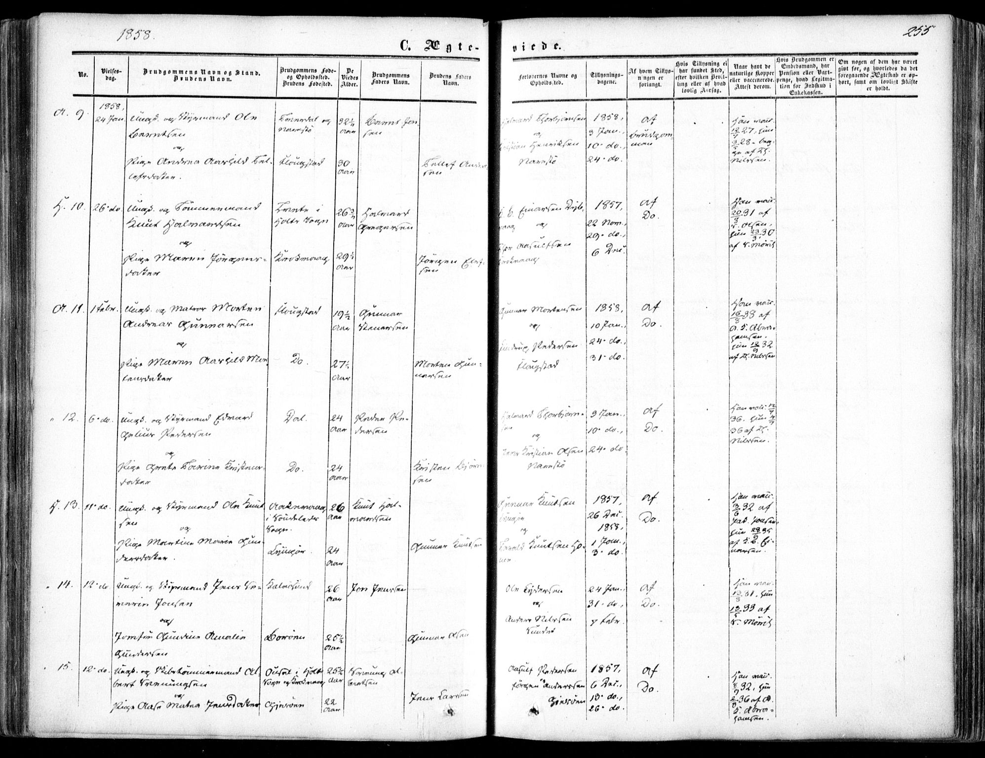 Dypvåg sokneprestkontor, AV/SAK-1111-0007/F/Fa/Faa/L0006: Parish register (official) no. A 6, 1855-1872, p. 255