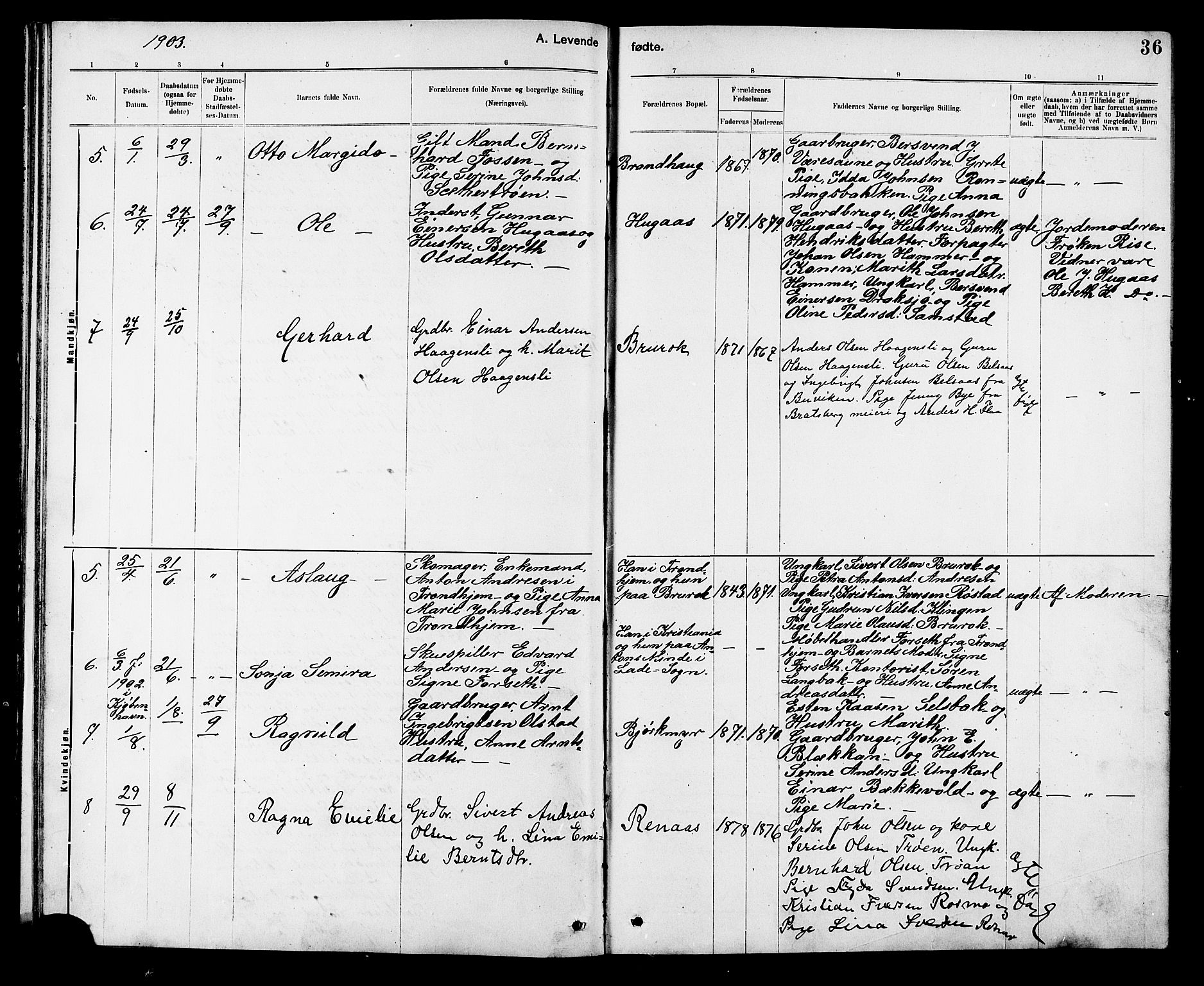Ministerialprotokoller, klokkerbøker og fødselsregistre - Sør-Trøndelag, SAT/A-1456/608/L0341: Parish register (copy) no. 608C07, 1890-1912, p. 36