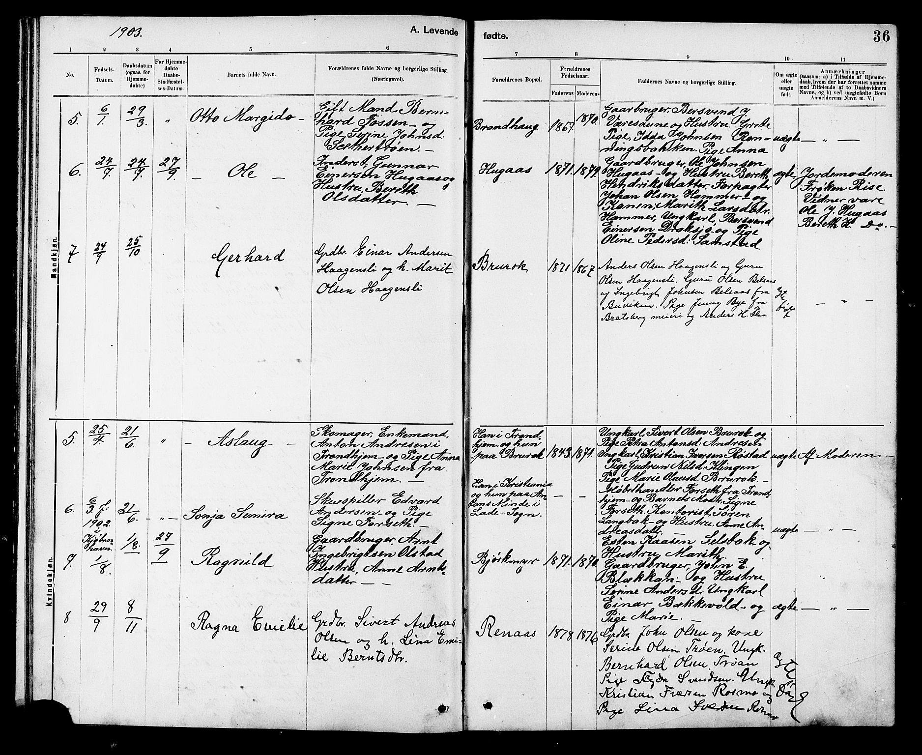 Ministerialprotokoller, klokkerbøker og fødselsregistre - Sør-Trøndelag, AV/SAT-A-1456/608/L0341: Parish register (copy) no. 608C07, 1890-1912, p. 36