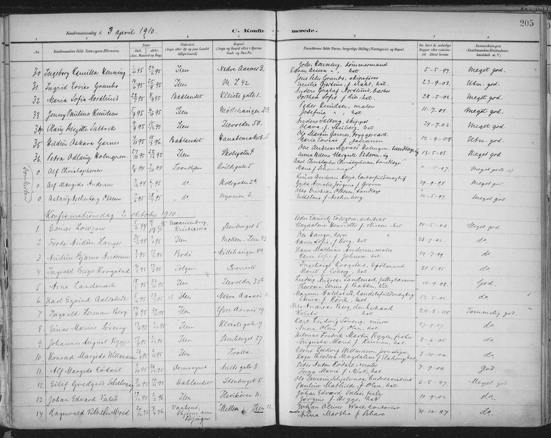 Ministerialprotokoller, klokkerbøker og fødselsregistre - Sør-Trøndelag, SAT/A-1456/603/L0167: Parish register (official) no. 603A06, 1896-1932, p. 205