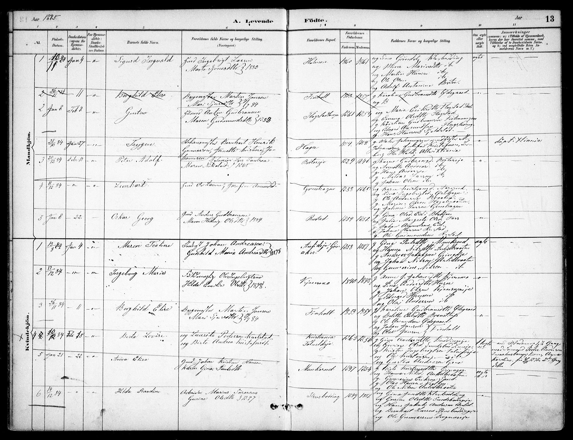 Nes prestekontor Kirkebøker, SAO/A-10410/F/Fc/L0002: Parish register (official) no. IIi 2, 1882-1916, p. 13