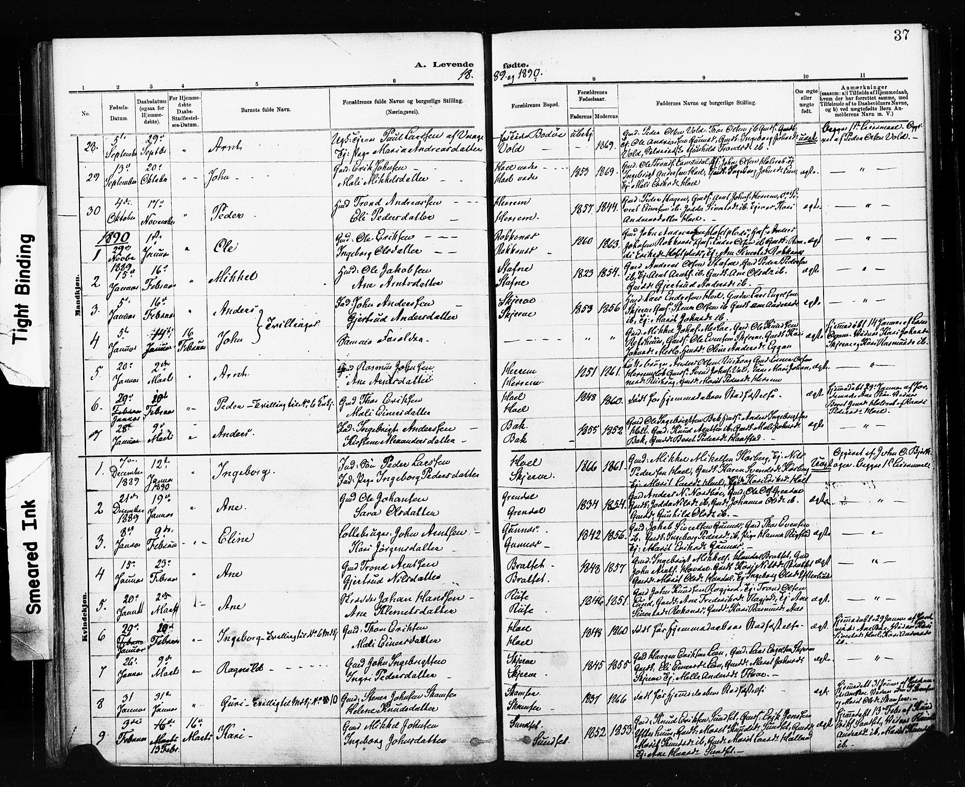 Ministerialprotokoller, klokkerbøker og fødselsregistre - Sør-Trøndelag, SAT/A-1456/674/L0871: Parish register (official) no. 674A03, 1880-1896, p. 37
