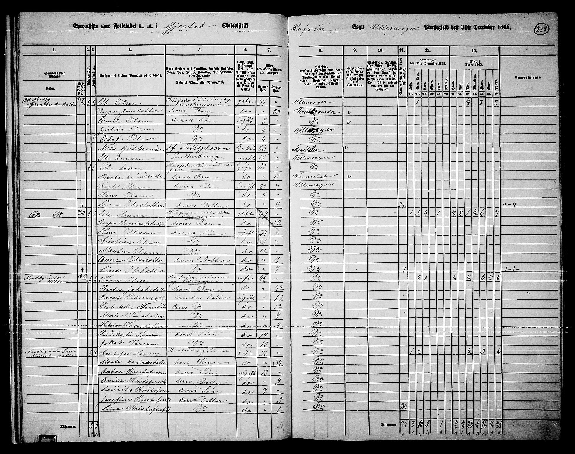 RA, 1865 census for Ullensaker, 1865, p. 213