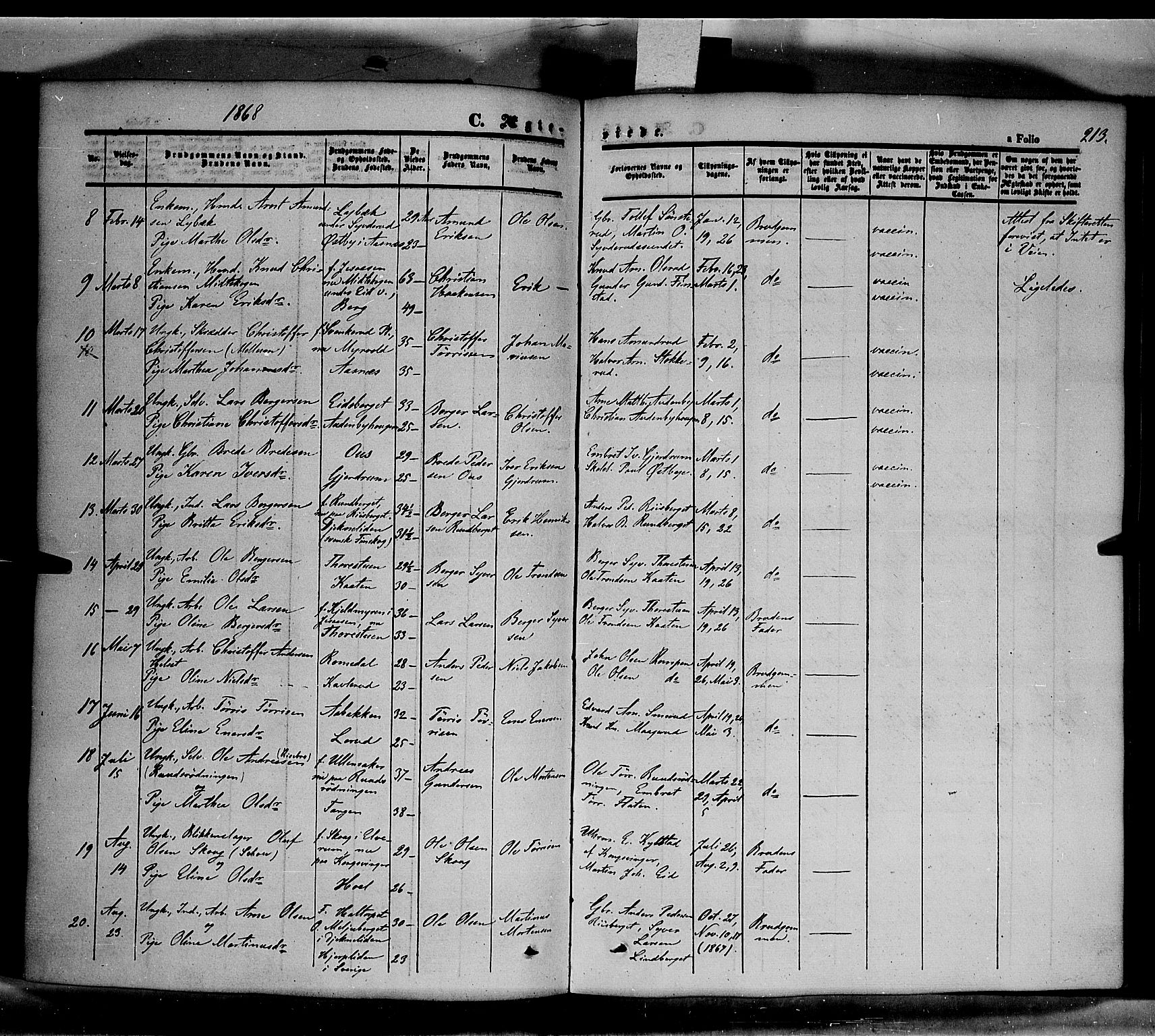 Våler prestekontor, Hedmark, AV/SAH-PREST-040/H/Ha/Haa/L0001: Parish register (official) no. 1, 1849-1878, p. 213