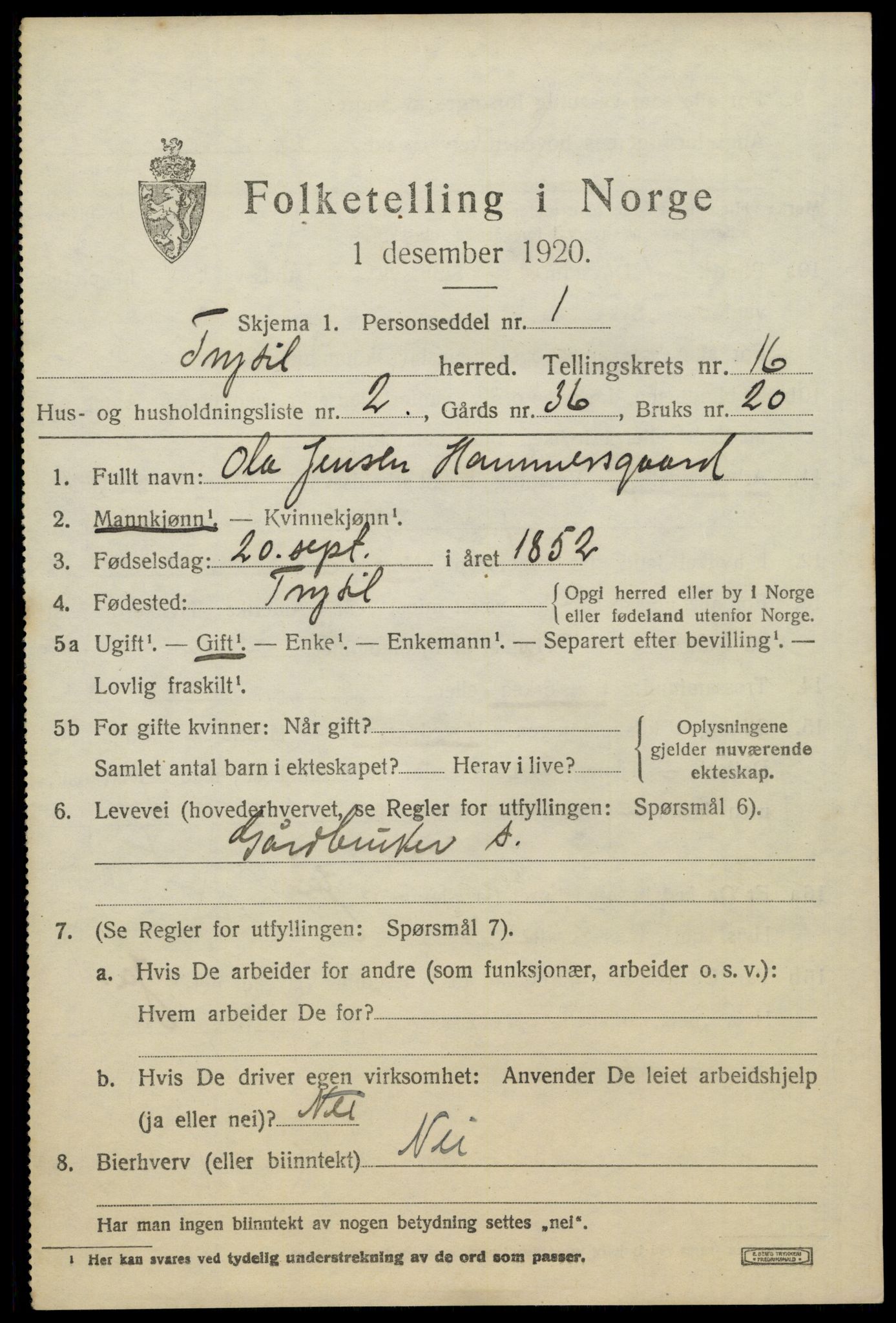 SAH, 1920 census for Trysil, 1920, p. 9447