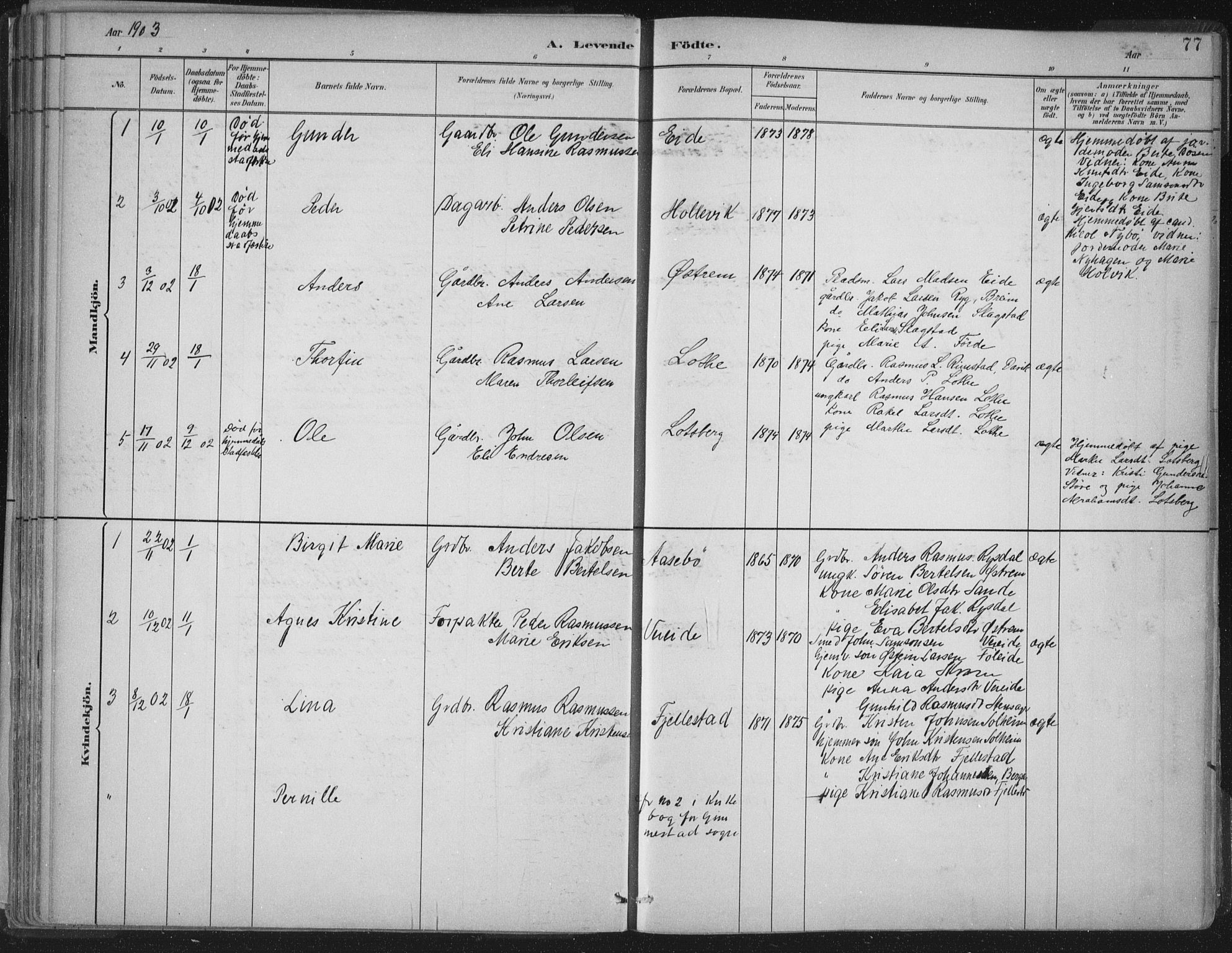 Gloppen sokneprestembete, AV/SAB-A-80101/H/Haa/Haab/L0001: Parish register (official) no. B  1, 1885-1905, p. 77