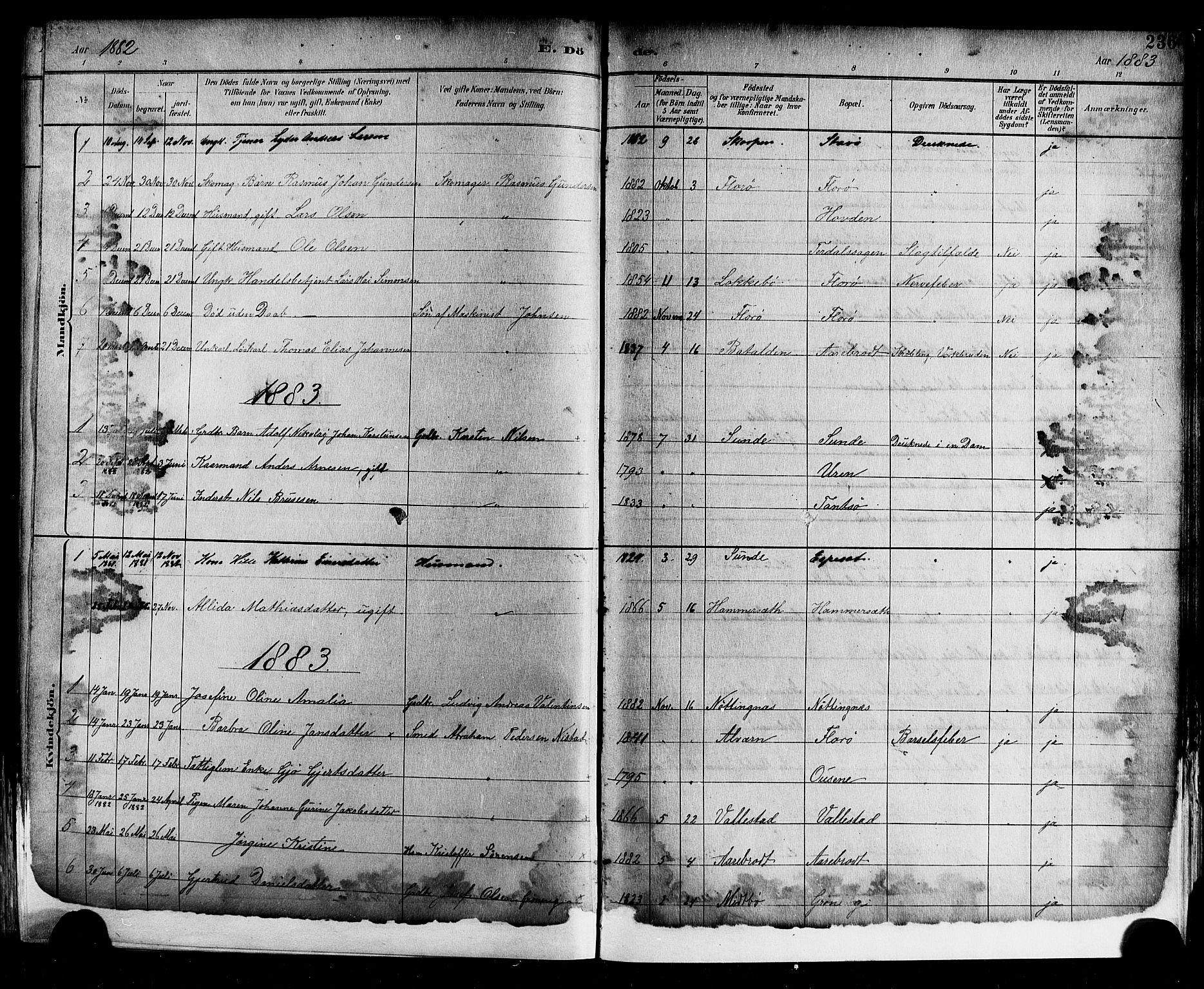 Kinn sokneprestembete, AV/SAB-A-80801/H/Hab/Haba/L0002: Parish register (copy) no. A 2, 1882-1906, p. 236