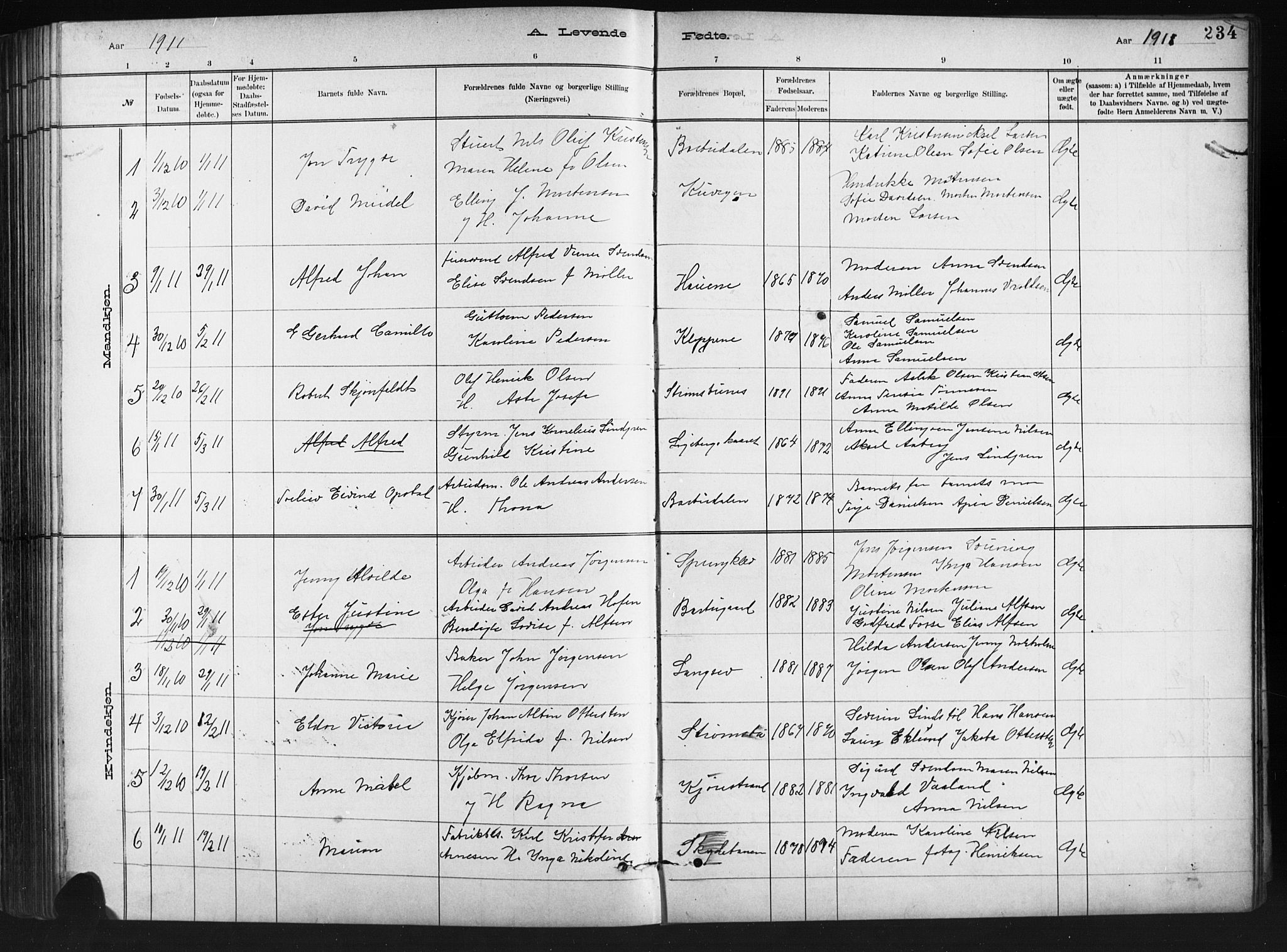 Barbu sokneprestkontor, AV/SAK-1111-0003/F/Fb/L0002: Parish register (copy) no. B 2, 1890-1922, p. 234