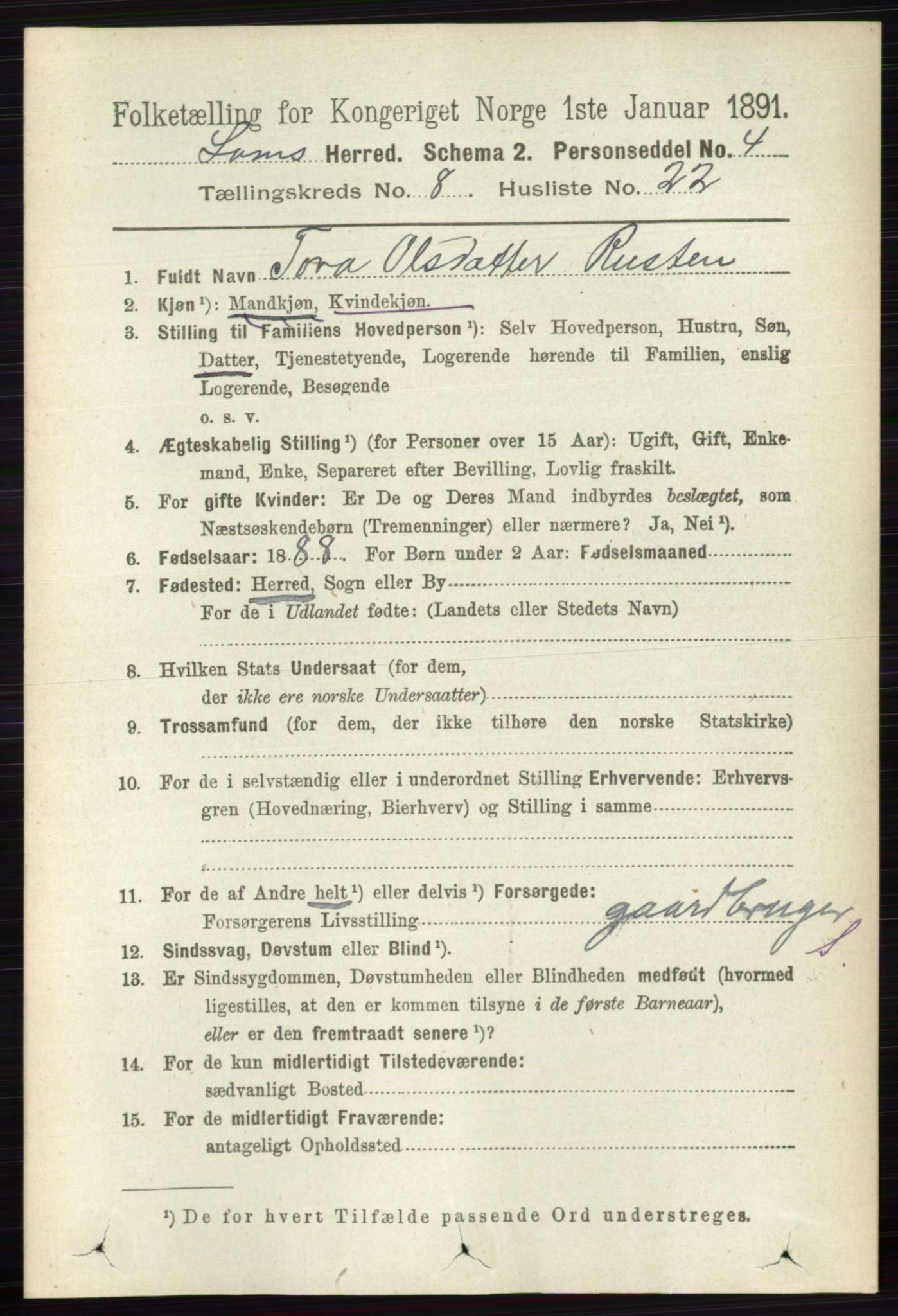 RA, 1891 census for 0514 Lom, 1891, p. 3228