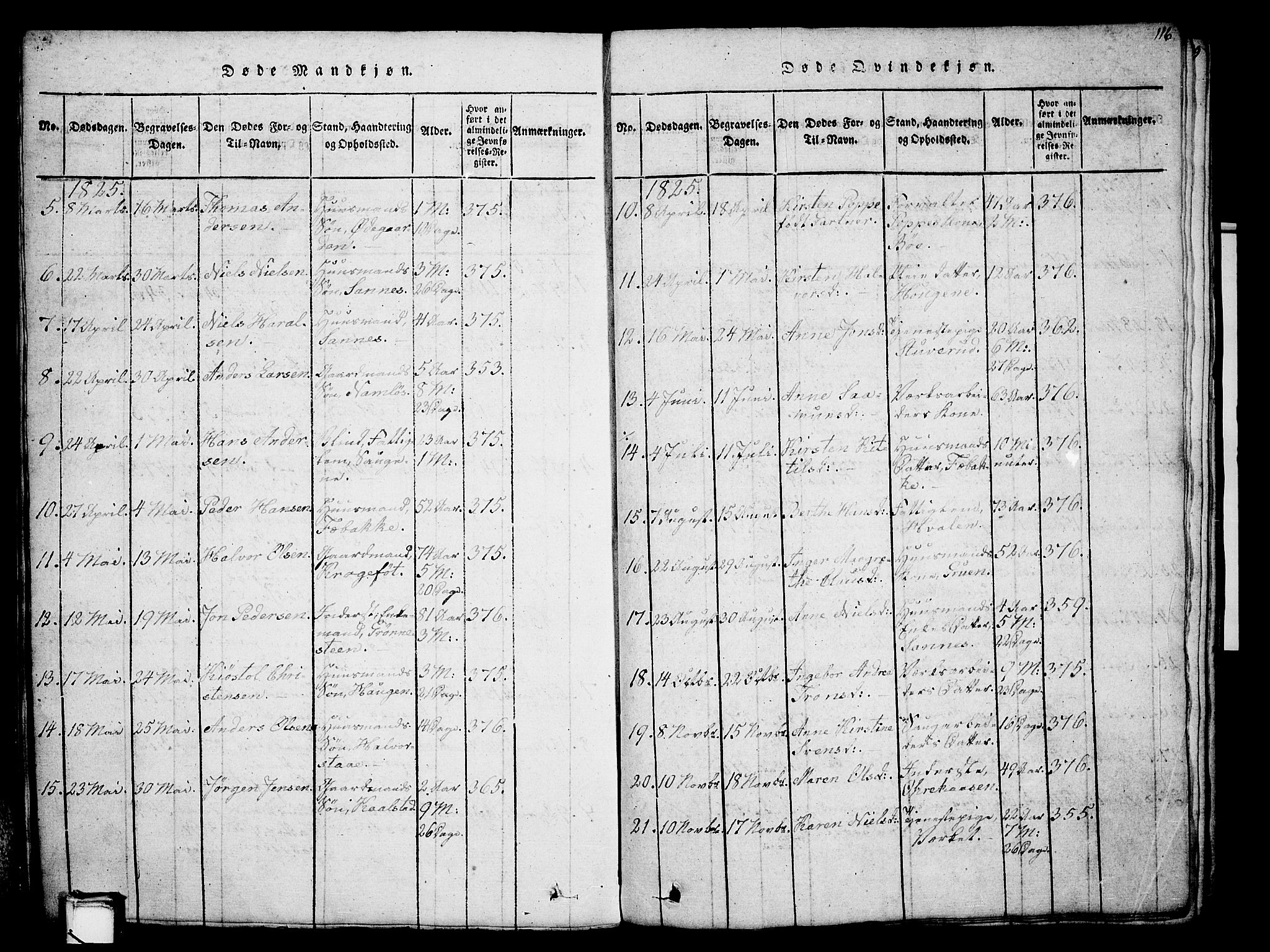 Holla kirkebøker, AV/SAKO-A-272/G/Ga/L0001: Parish register (copy) no. I 1, 1814-1830, p. 116