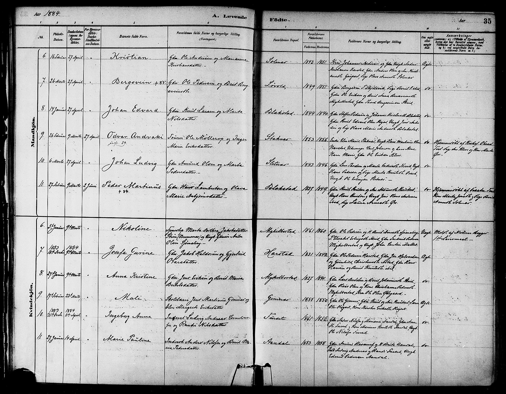 Ministerialprotokoller, klokkerbøker og fødselsregistre - Møre og Romsdal, AV/SAT-A-1454/584/L0967: Parish register (official) no. 584A07, 1879-1894, p. 35