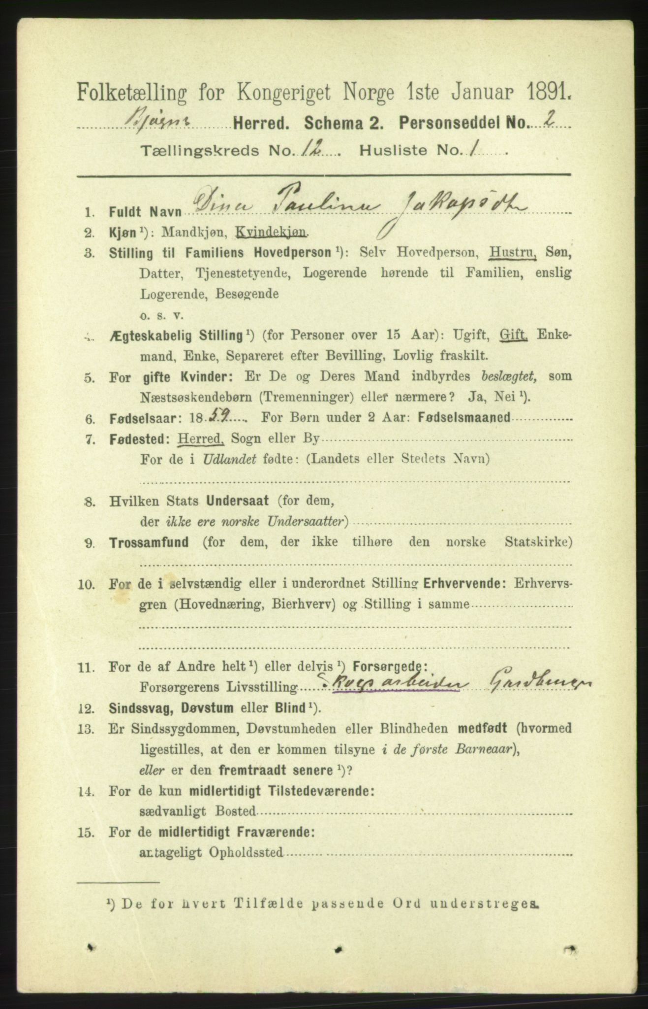 RA, 1891 census for 1627 Bjugn, 1891, p. 3491