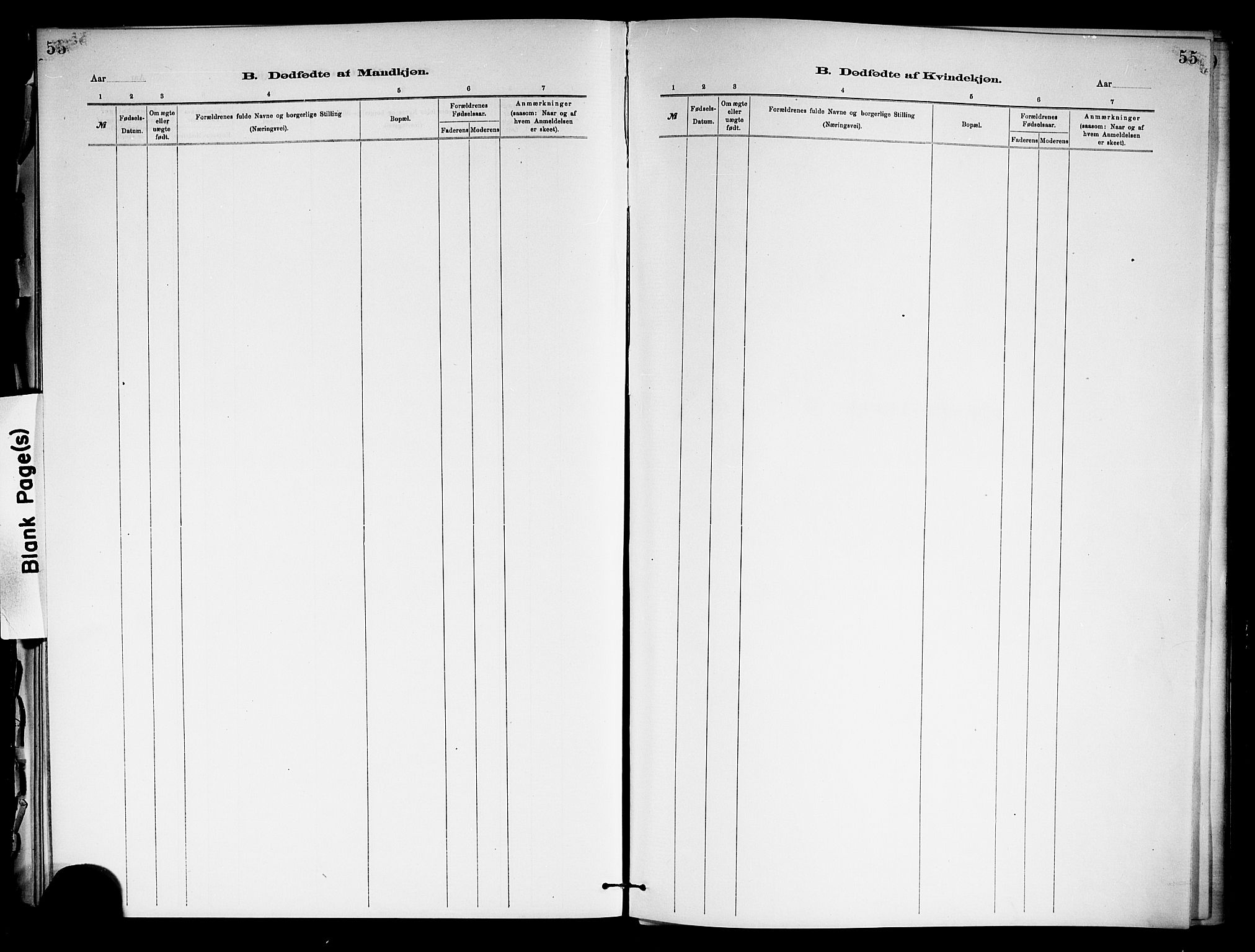 Holla kirkebøker, SAKO/A-272/F/Fa/L0009: Parish register (official) no. 9, 1881-1897, p. 55
