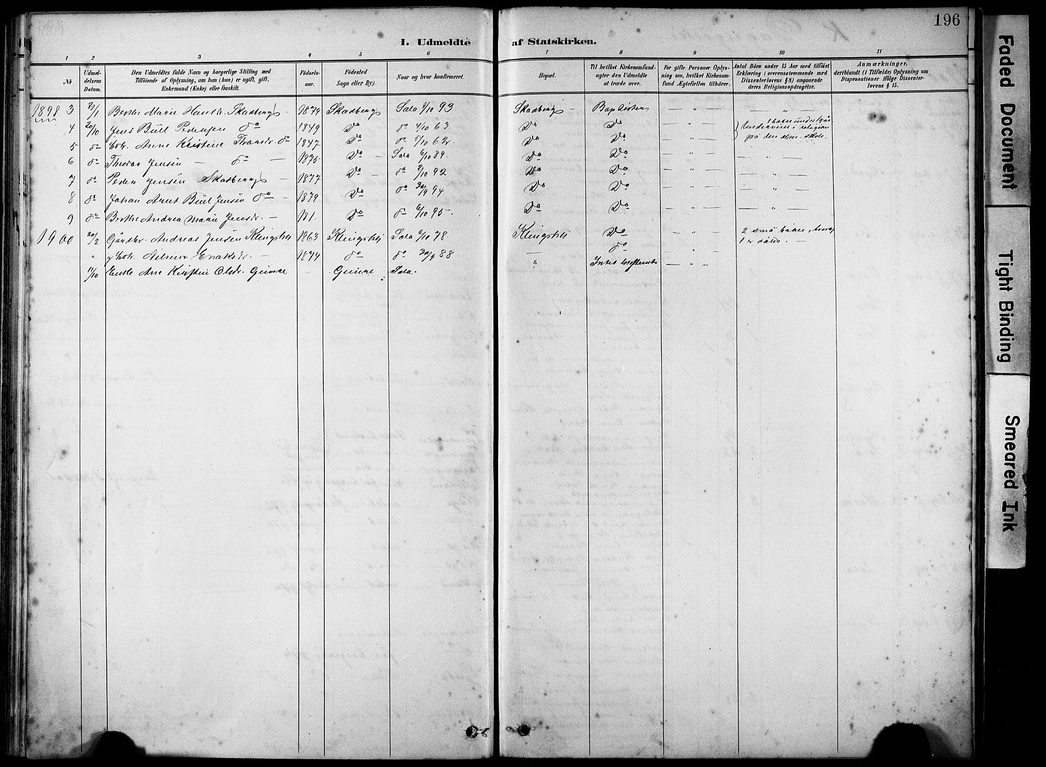 Håland sokneprestkontor, SAST/A-101802/001/30BA/L0012: Parish register (official) no. A 11, 1889-1900, p. 196