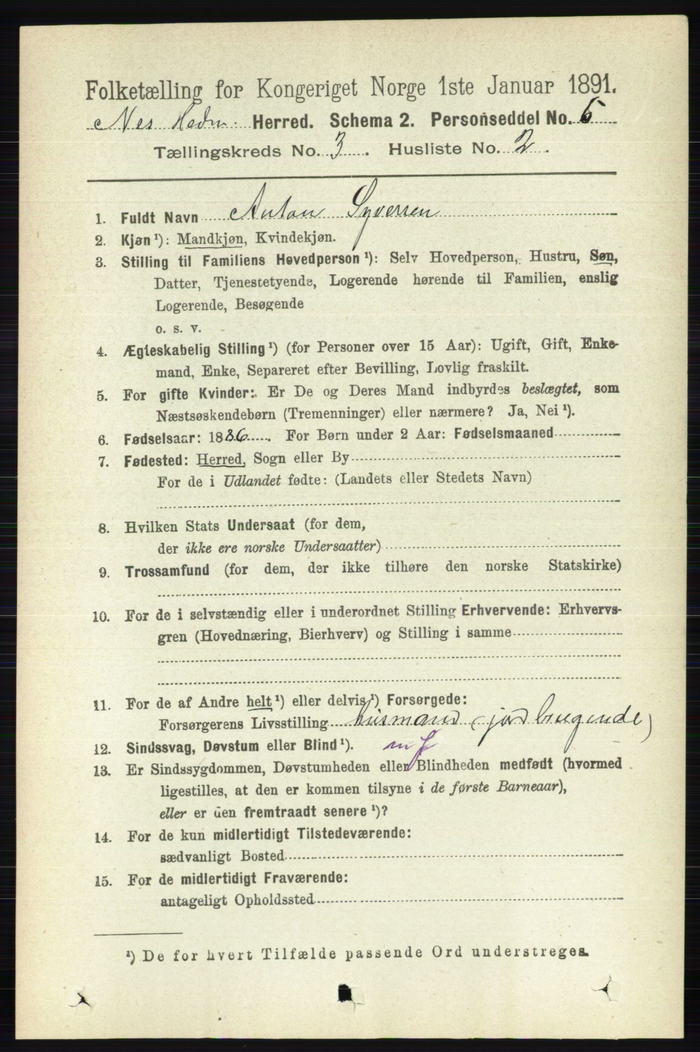 RA, 1891 census for 0411 Nes, 1891, p. 1605