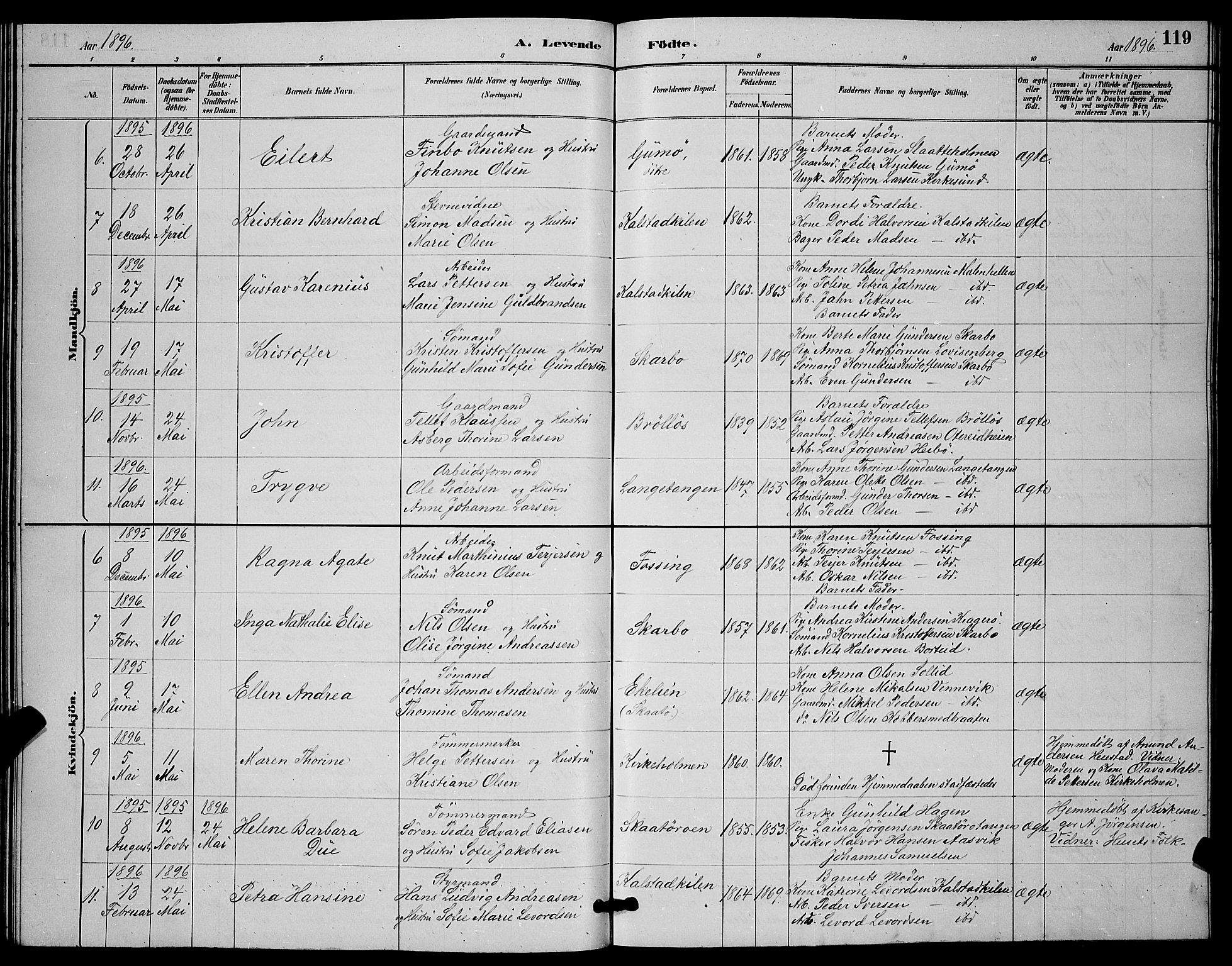 Skåtøy kirkebøker, SAKO/A-304/G/Ga/L0003: Parish register (copy) no. I 3, 1884-1898, p. 119