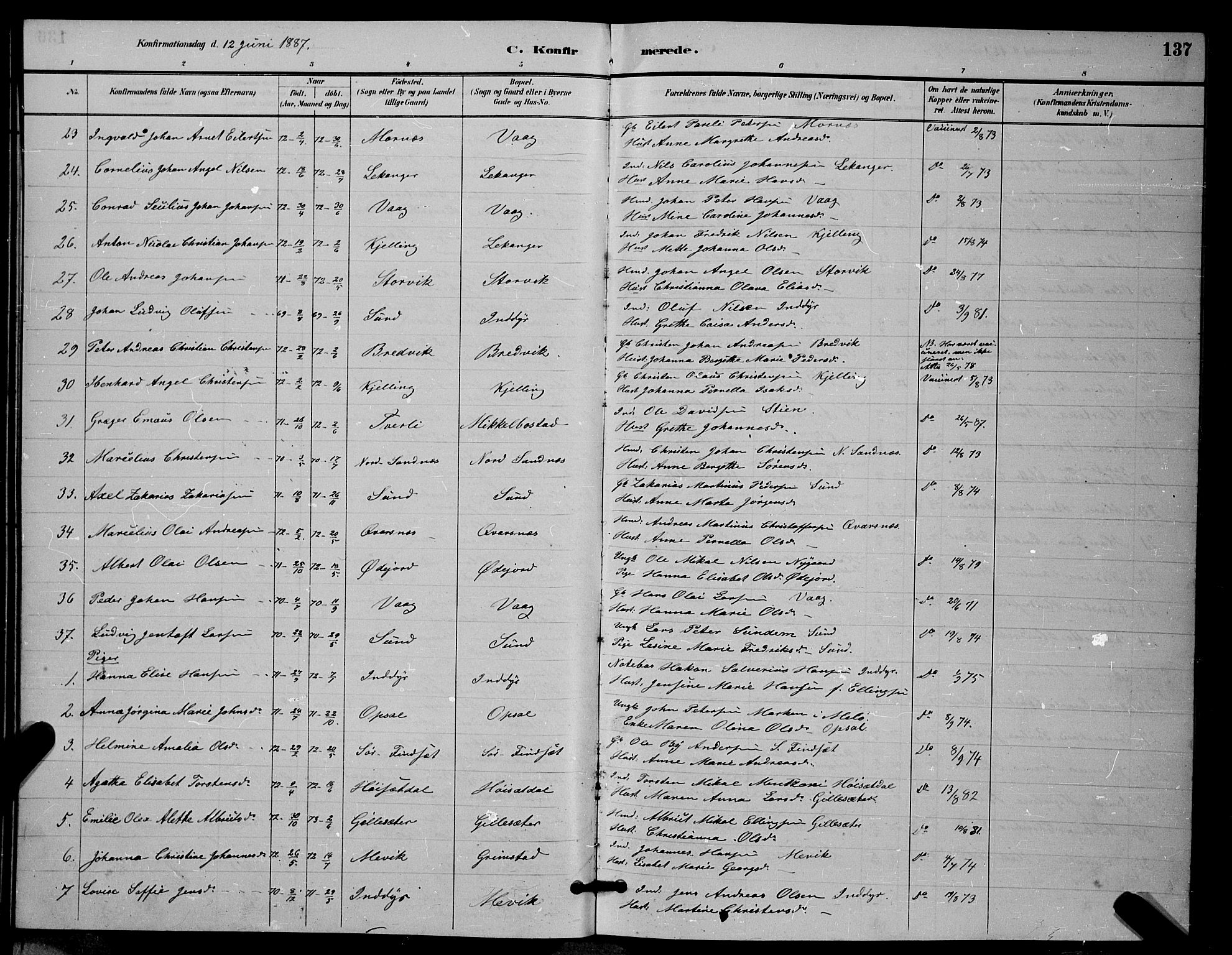 Ministerialprotokoller, klokkerbøker og fødselsregistre - Nordland, AV/SAT-A-1459/805/L0108: Parish register (copy) no. 805C04, 1885-1899, p. 137