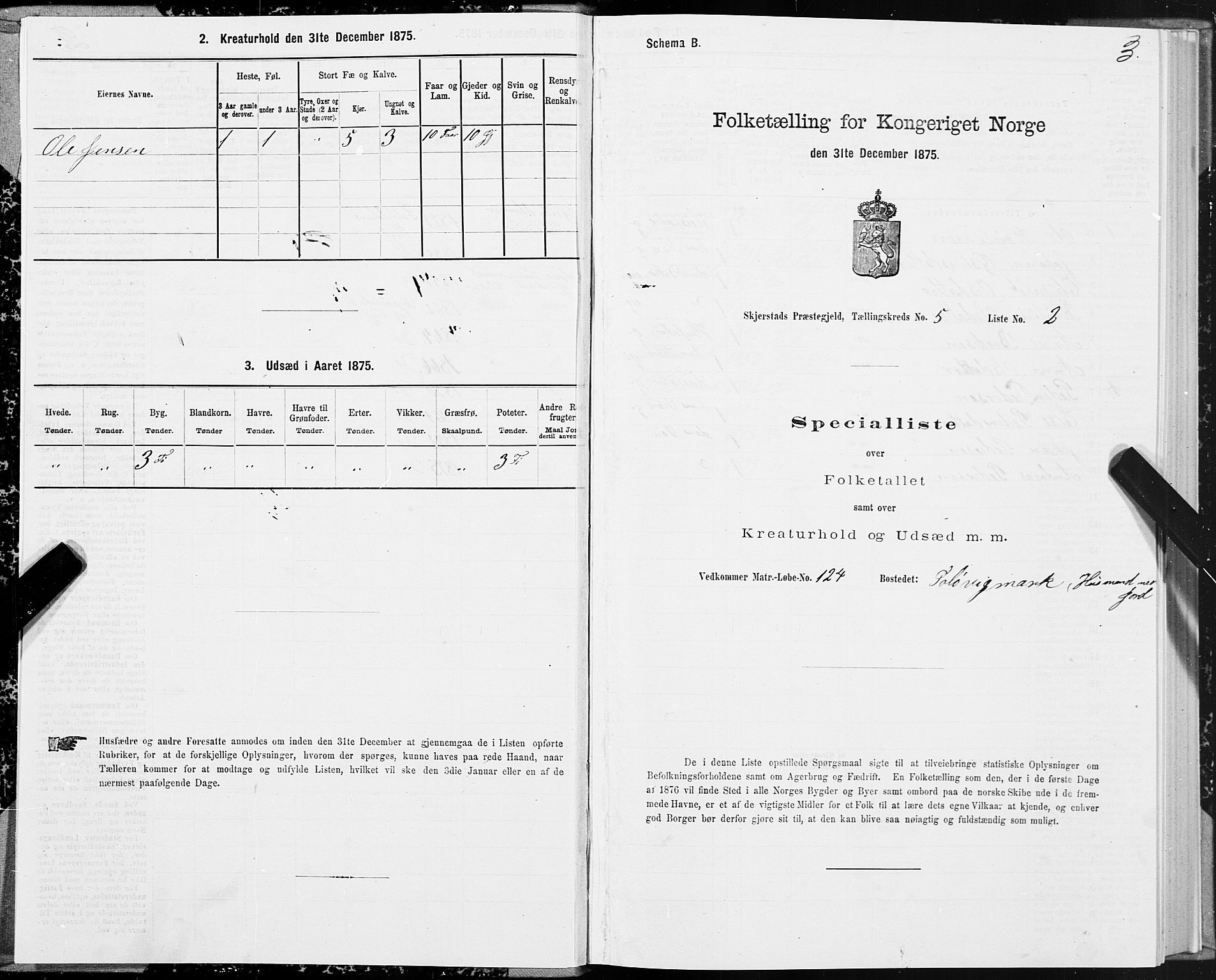 SAT, 1875 census for 1842P Skjerstad, 1875, p. 3003