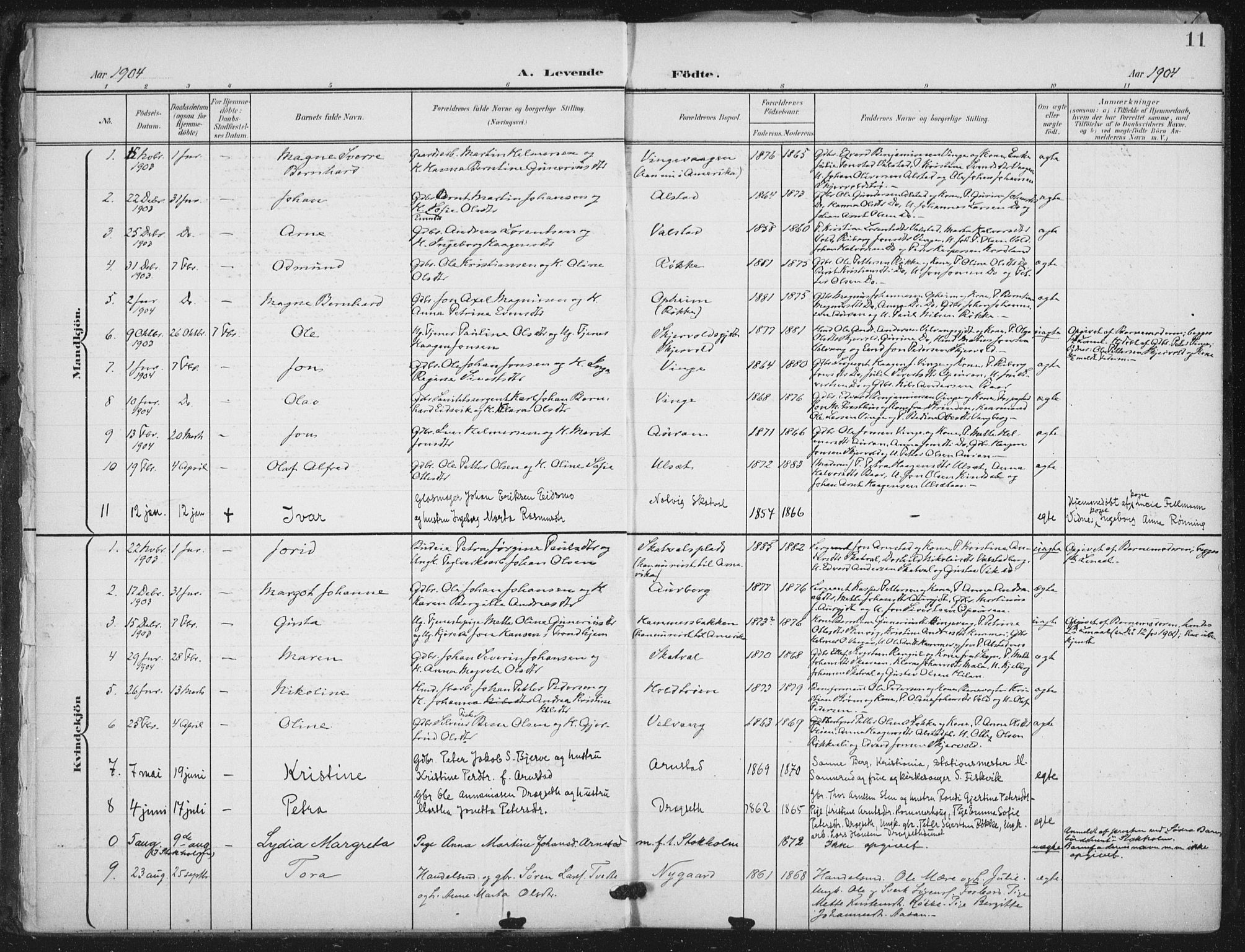 Ministerialprotokoller, klokkerbøker og fødselsregistre - Nord-Trøndelag, AV/SAT-A-1458/712/L0101: Parish register (official) no. 712A02, 1901-1916, p. 11