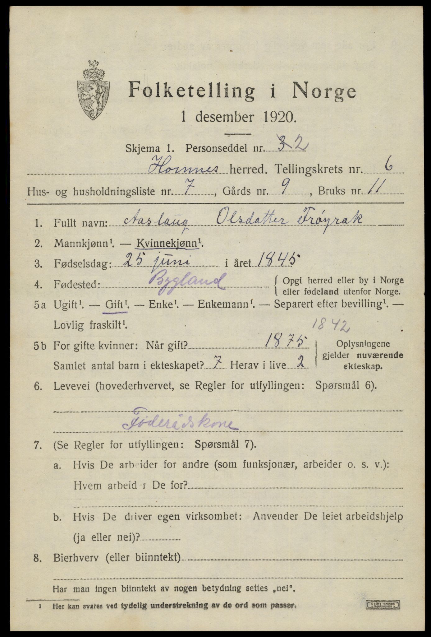 SAK, 1920 census for Hornnes, 1920, p. 1631