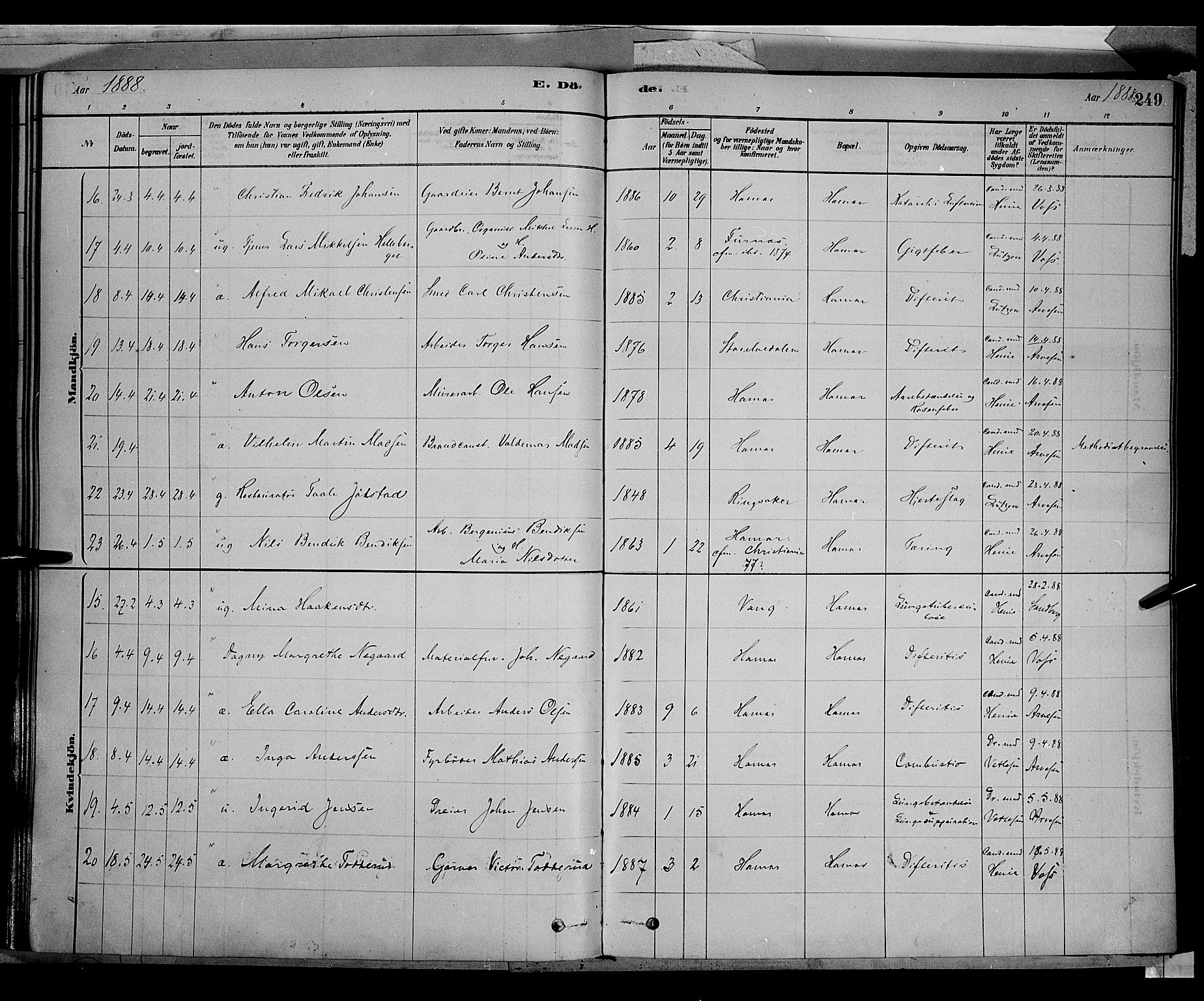 Vang prestekontor, Hedmark, AV/SAH-PREST-008/H/Ha/Haa/L0016: Parish register (official) no. 16, 1878-1889, p. 249