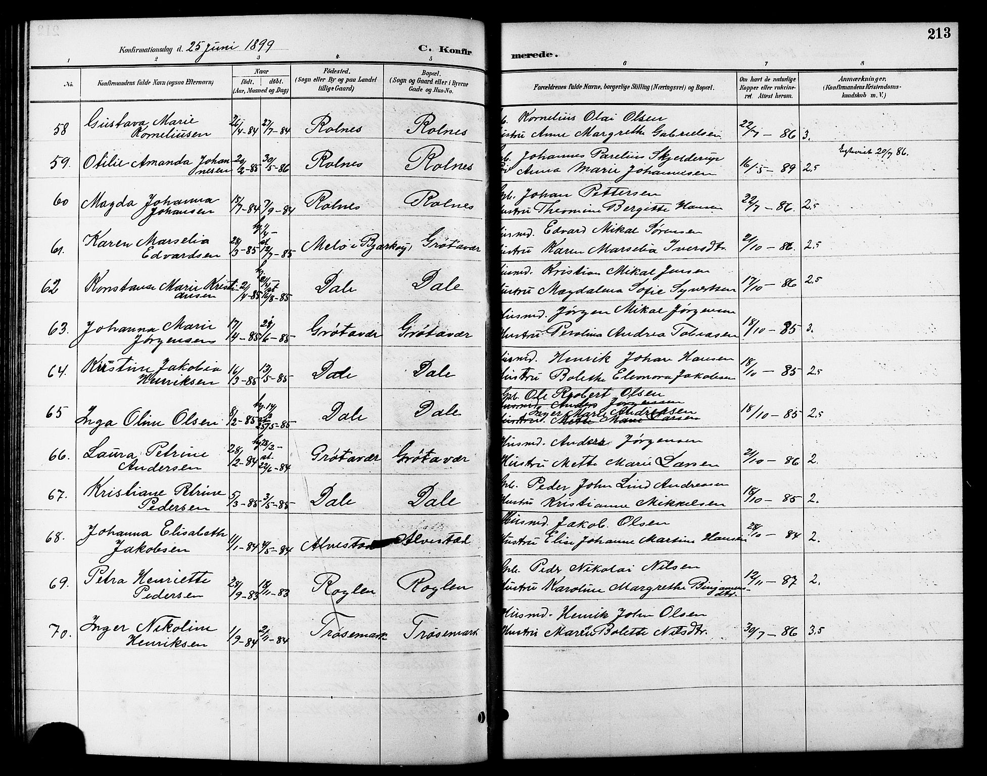 Trondenes sokneprestkontor, SATØ/S-1319/H/Hb/L0011klokker: Parish register (copy) no. 11, 1891-1906, p. 213