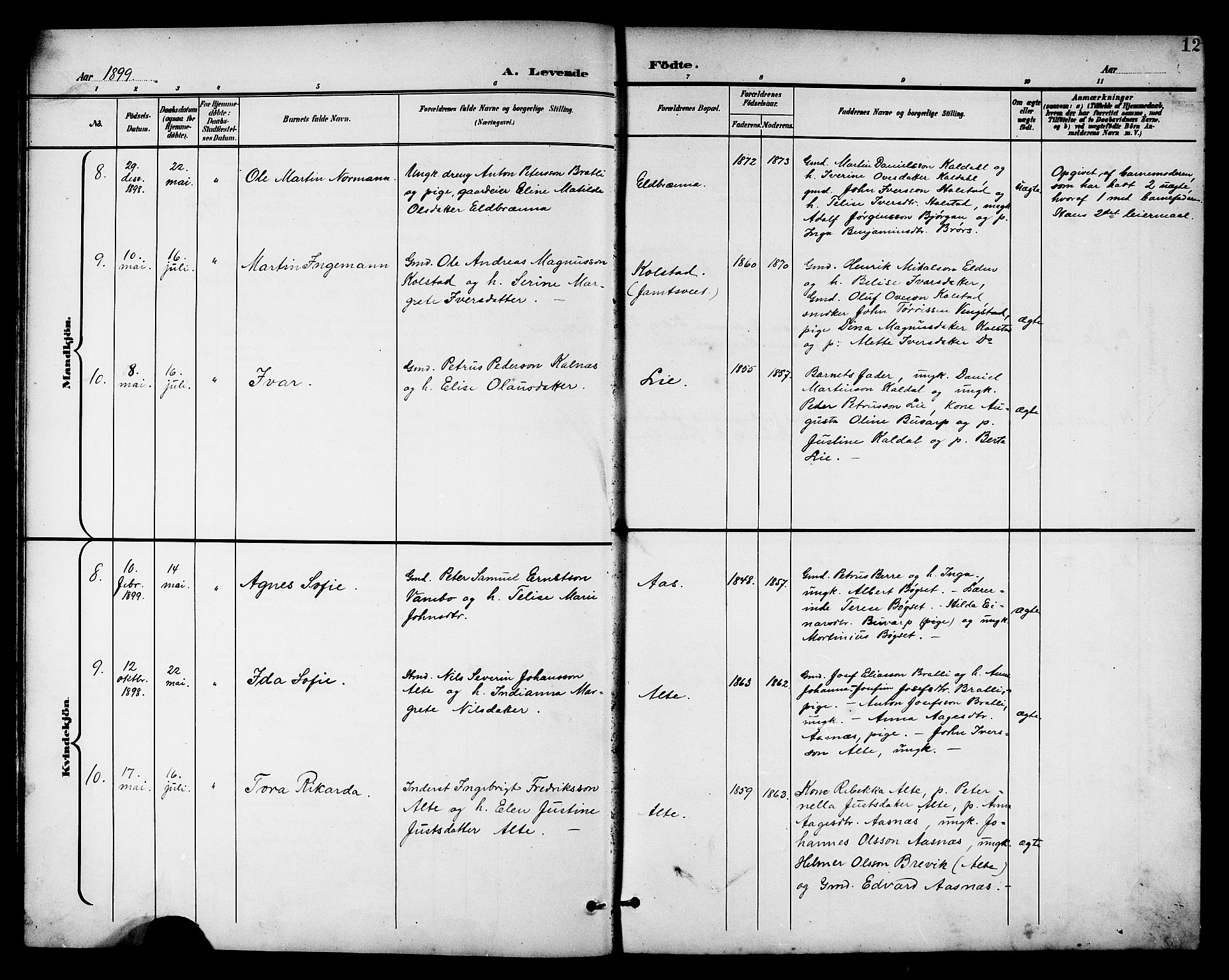 Ministerialprotokoller, klokkerbøker og fødselsregistre - Nord-Trøndelag, AV/SAT-A-1458/742/L0412: Parish register (copy) no. 742C03, 1898-1910, p. 12