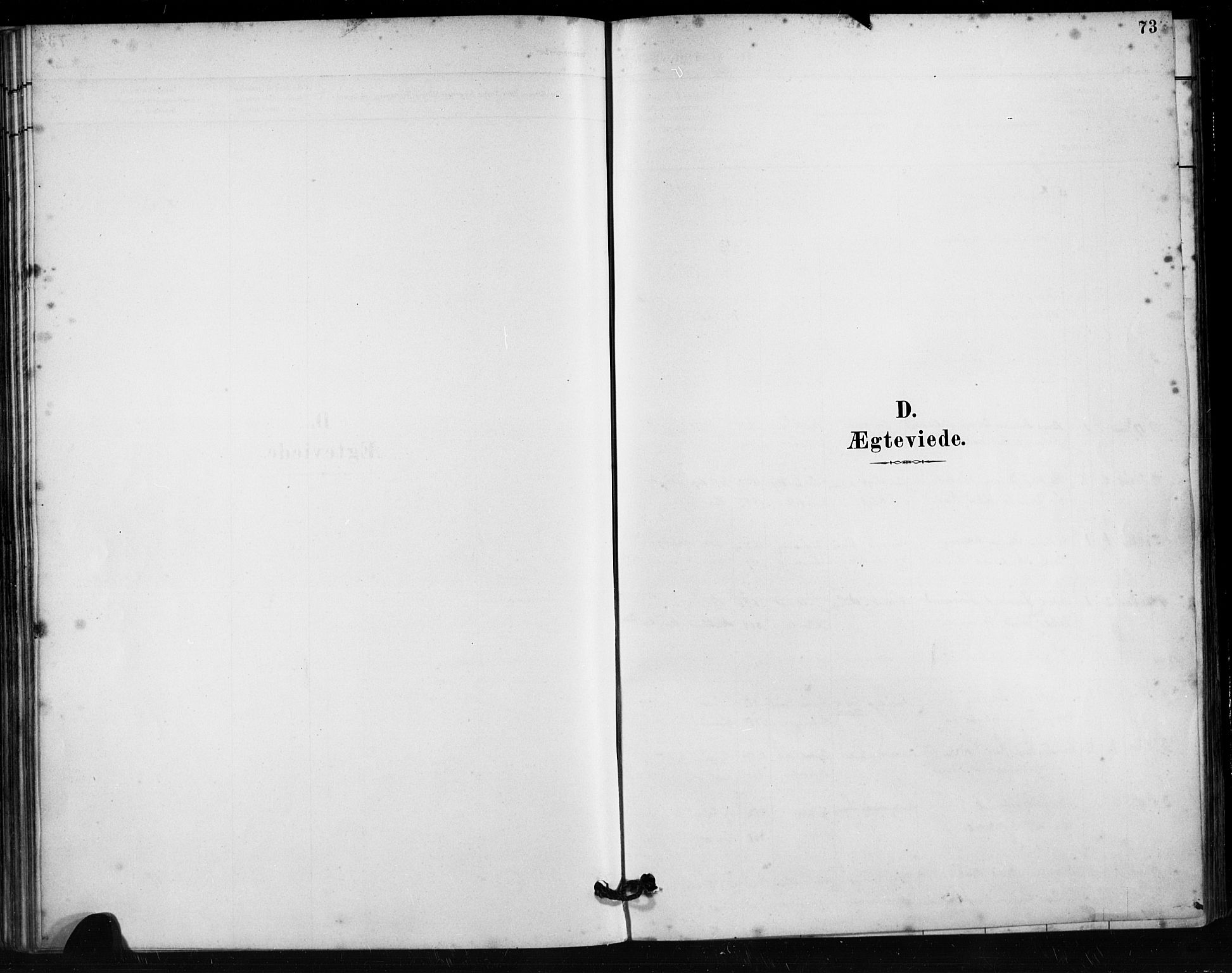 Håland sokneprestkontor, AV/SAST-A-101802/001/30BA/L0011: Parish register (official) no. A 10, 1883-1900, p. 73