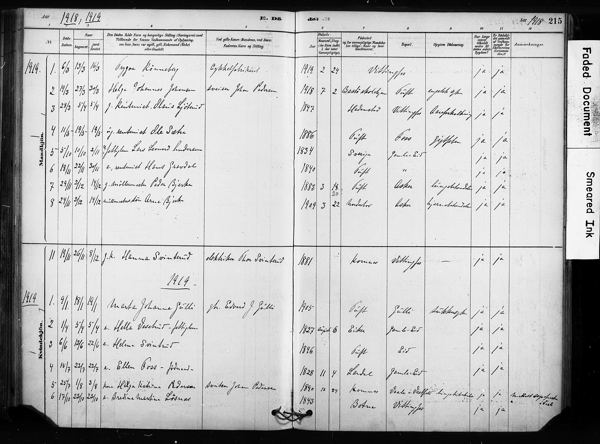 Sandsvær kirkebøker, SAKO/A-244/F/Fc/L0001: Parish register (official) no. III 1, 1878-1923, p. 215