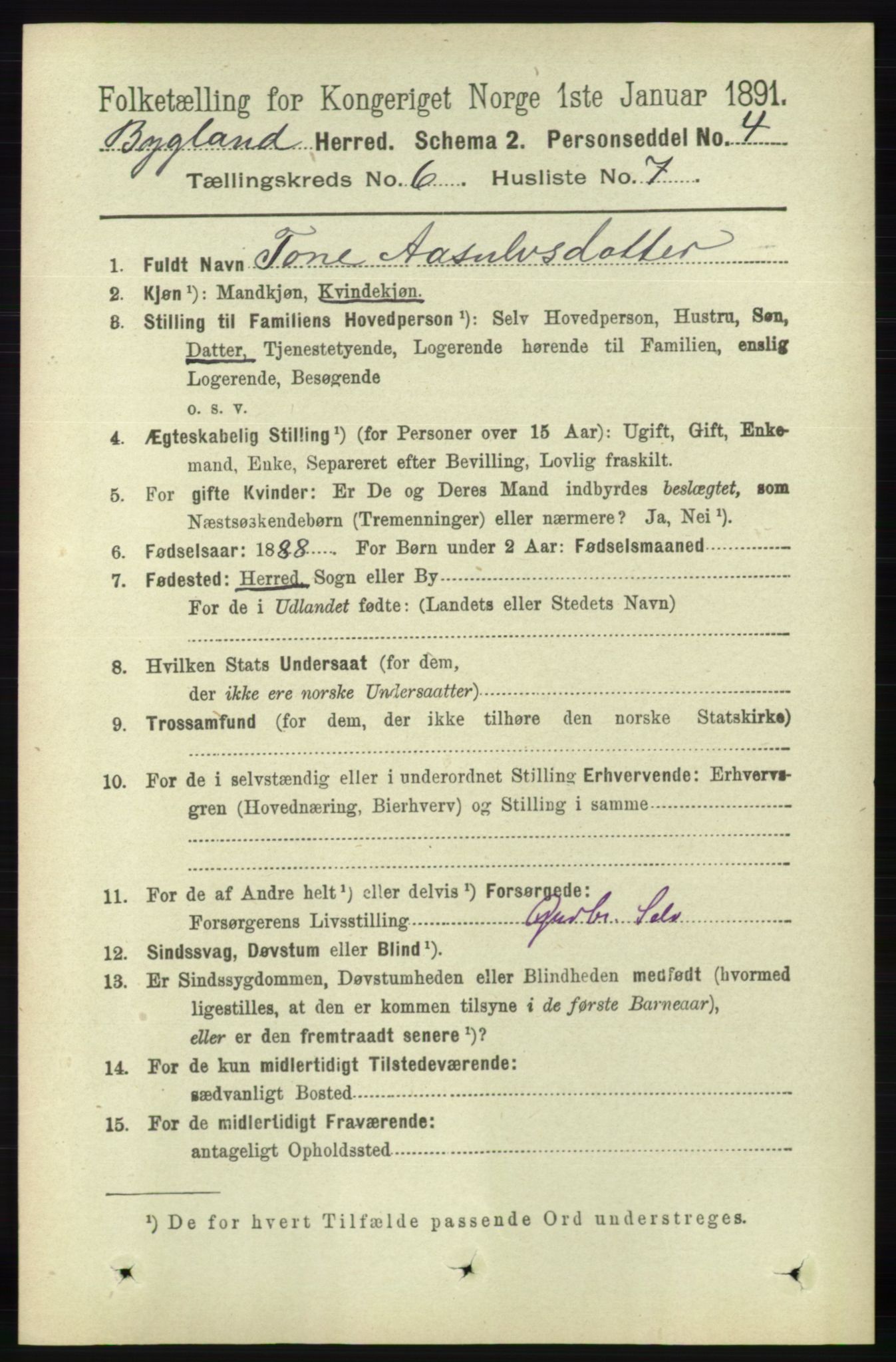 RA, 1891 census for 0938 Bygland, 1891, p. 1378