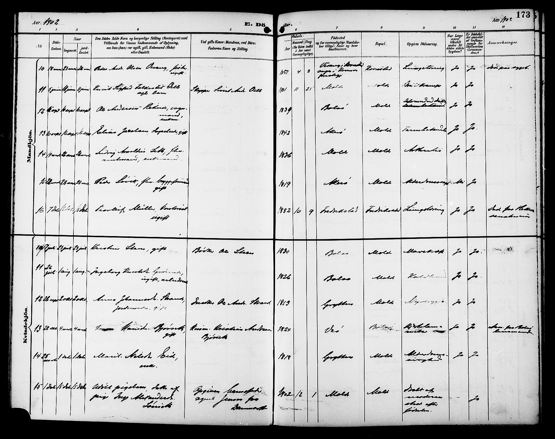 Ministerialprotokoller, klokkerbøker og fødselsregistre - Møre og Romsdal, AV/SAT-A-1454/558/L0702: Parish register (copy) no. 558C03, 1894-1915, p. 173