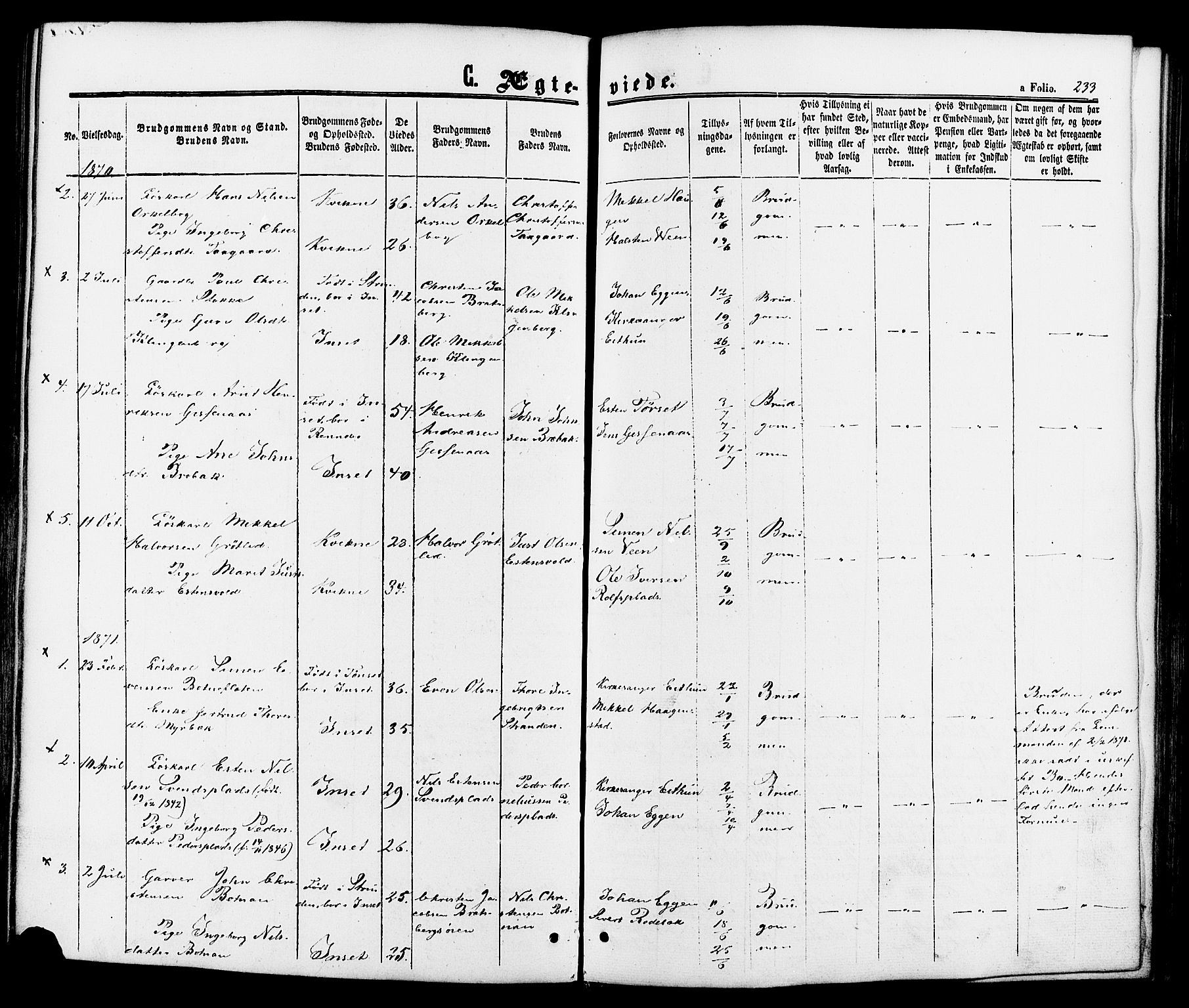 Kvikne prestekontor, SAH/PREST-064/H/Ha/Haa/L0006: Parish register (official) no. 6, 1863-1886, p. 233
