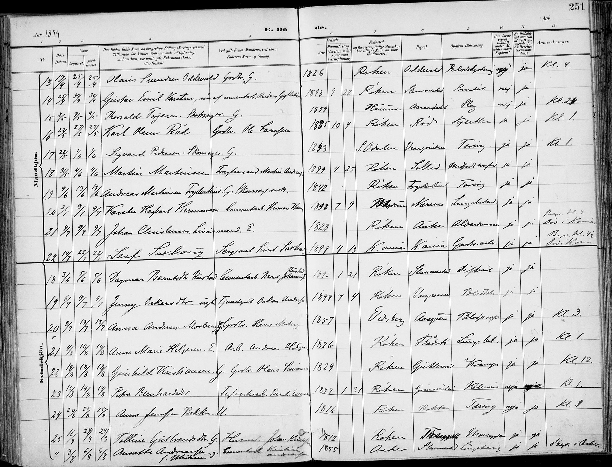 Røyken kirkebøker, AV/SAKO-A-241/F/Fa/L0009: Parish register (official) no. 9, 1898-1911, p. 251