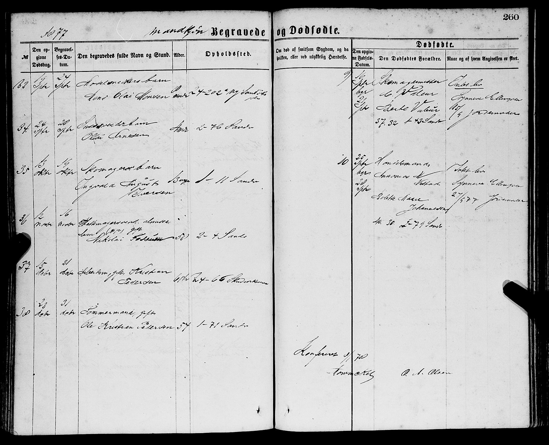 Sandviken Sokneprestembete, AV/SAB-A-77601/H/Ha/L0001: Parish register (official) no. A 1, 1867-1877, p. 260