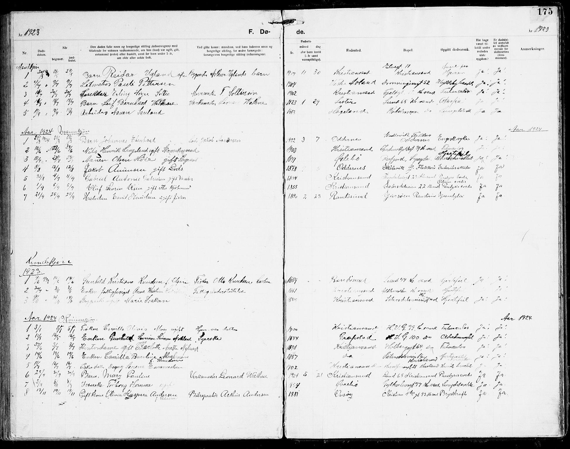 Den evangelisk-lutherske frikirke, Kristiansand, SAK/1292-0017/F/Fa/L0003: Dissenter register no. F 11, 1892-1925, p. 175