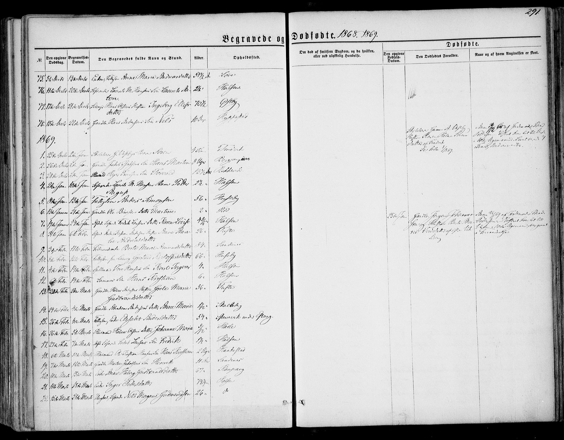 Tjølling kirkebøker, SAKO/A-60/F/Fa/L0007: Parish register (official) no. 7, 1860-1876, p. 291