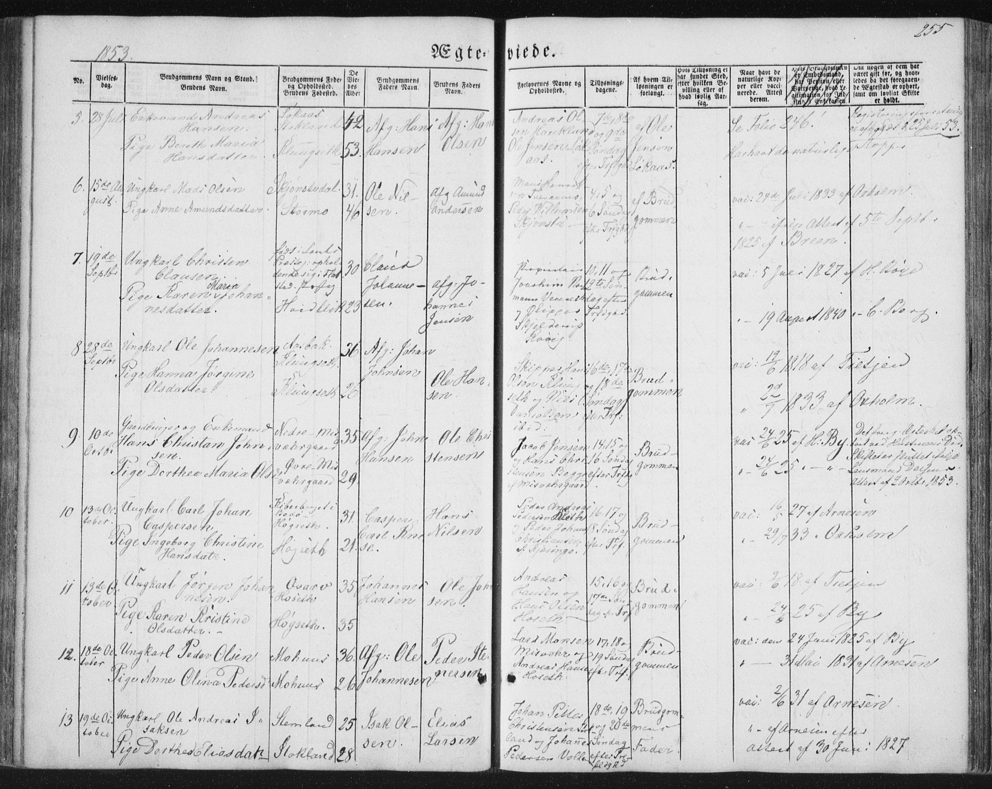 Ministerialprotokoller, klokkerbøker og fødselsregistre - Nordland, AV/SAT-A-1459/852/L0738: Parish register (official) no. 852A08, 1849-1865, p. 255