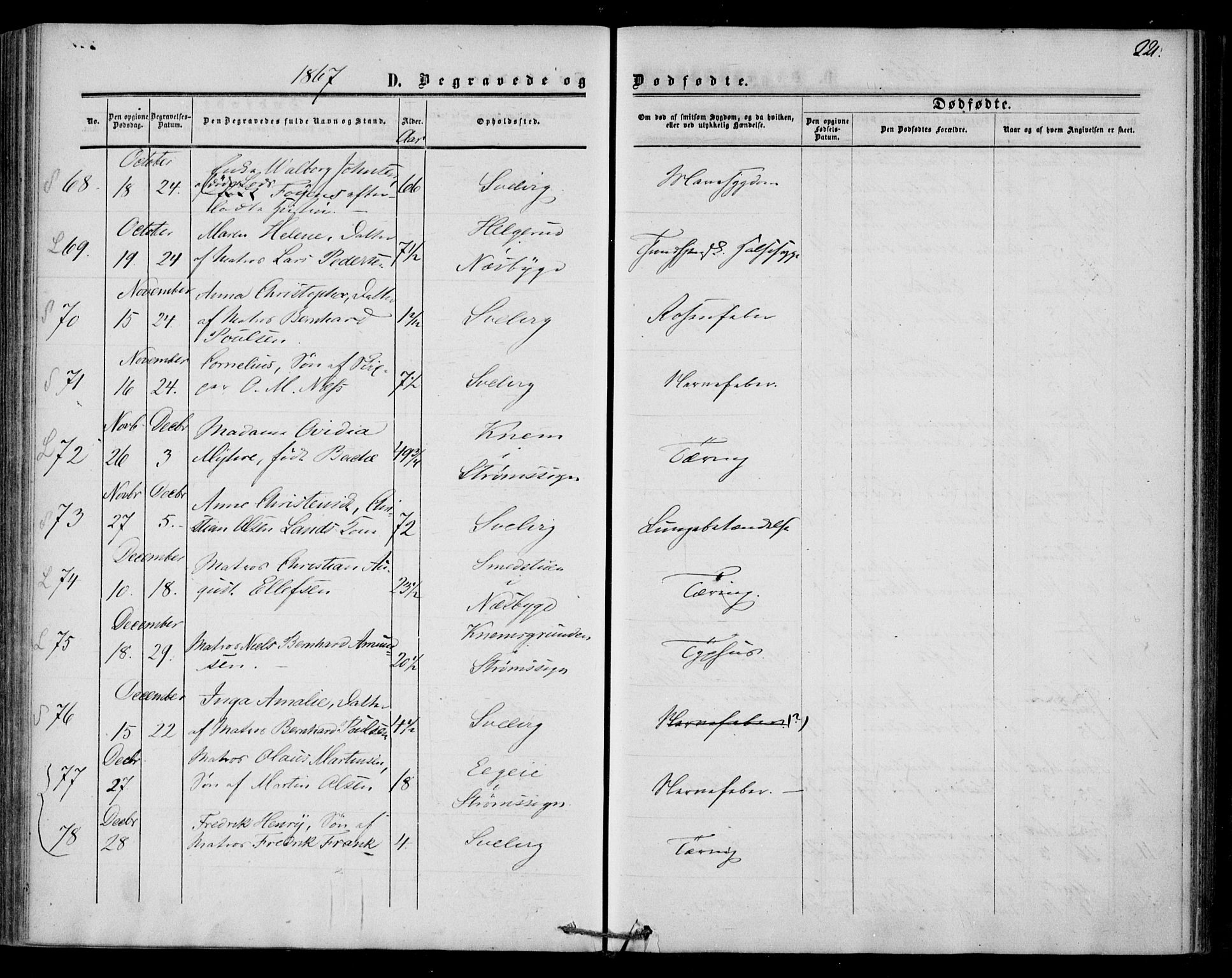 Strømm kirkebøker, AV/SAKO-A-322/F/Fa/L0001: Parish register (official) no. I 1, 1861-1869, p. 221