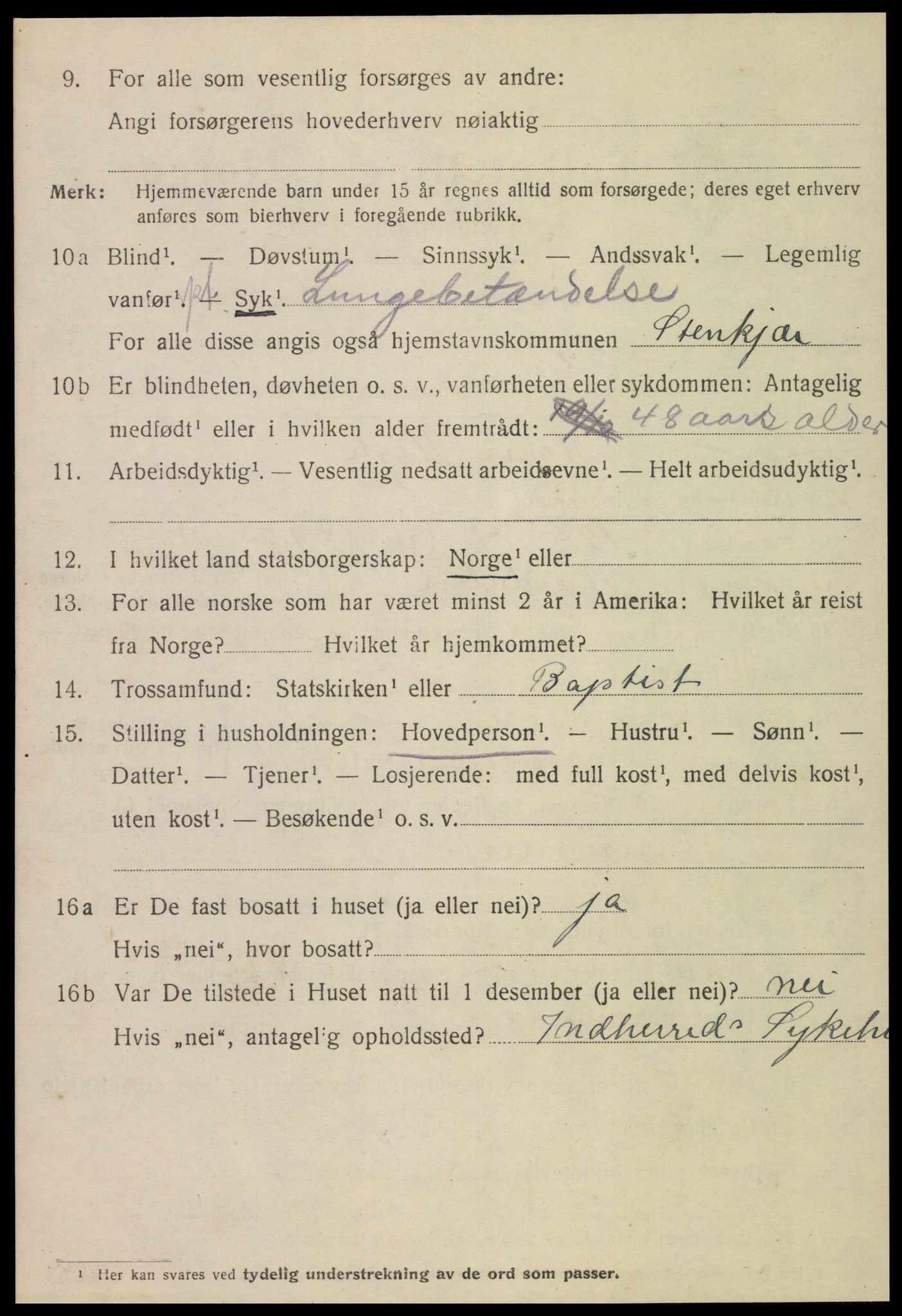 SAT, 1920 census for Steinkjer, 1920, p. 5323