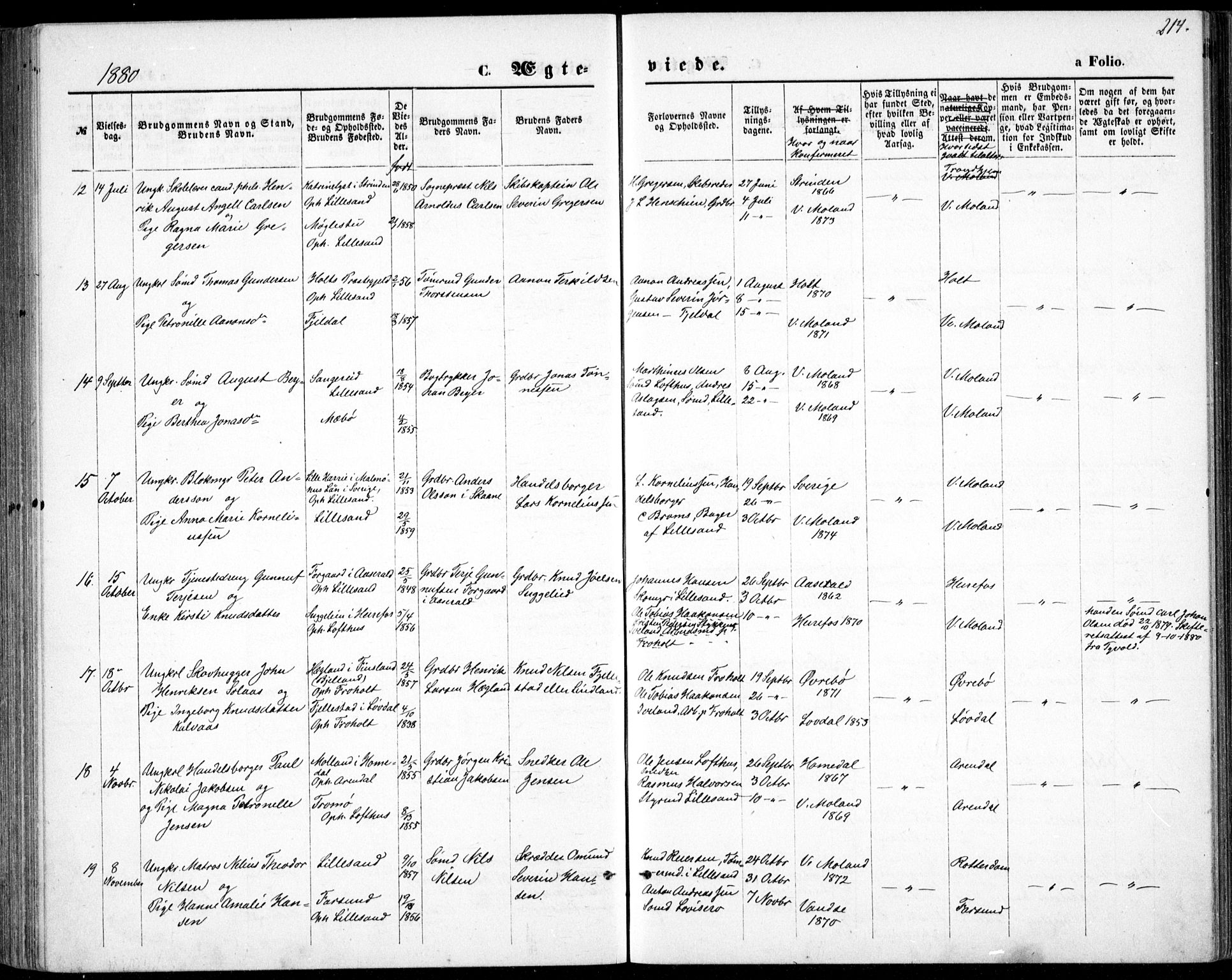 Vestre Moland sokneprestkontor, AV/SAK-1111-0046/F/Fb/Fbb/L0005: Parish register (copy) no. B 5, 1872-1883, p. 214