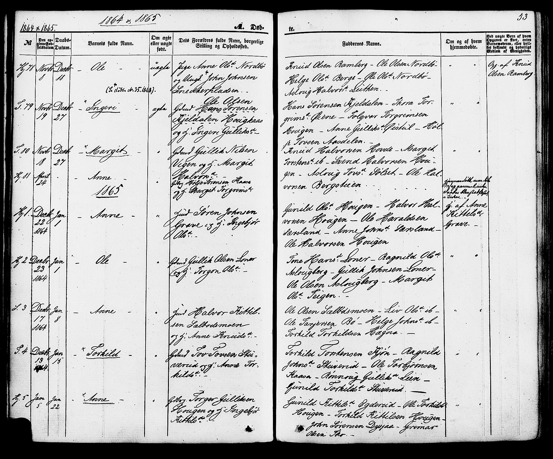 Hjartdal kirkebøker, AV/SAKO-A-270/F/Fa/L0009: Parish register (official) no. I 9, 1860-1879, p. 53