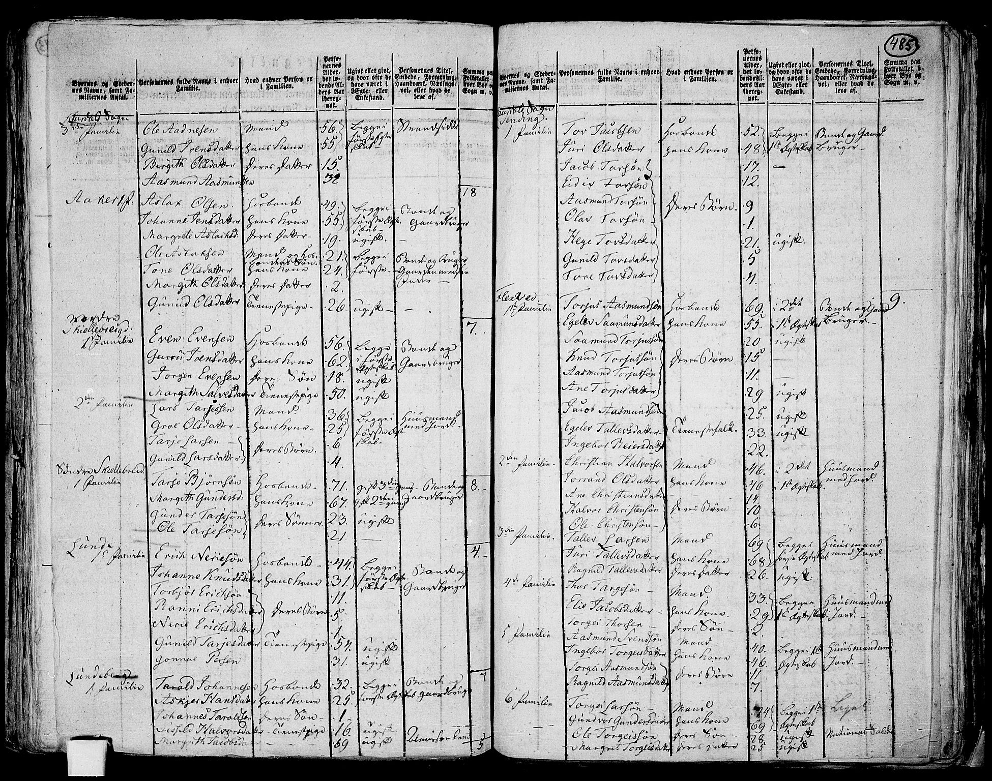 RA, 1801 census for 0833P Lårdal, 1801, p. 484b-485a