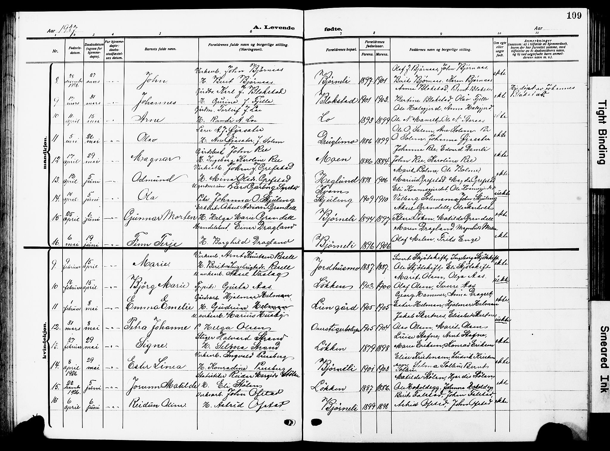 Ministerialprotokoller, klokkerbøker og fødselsregistre - Sør-Trøndelag, SAT/A-1456/672/L0865: Parish register (copy) no. 672C04, 1914-1928, p. 109