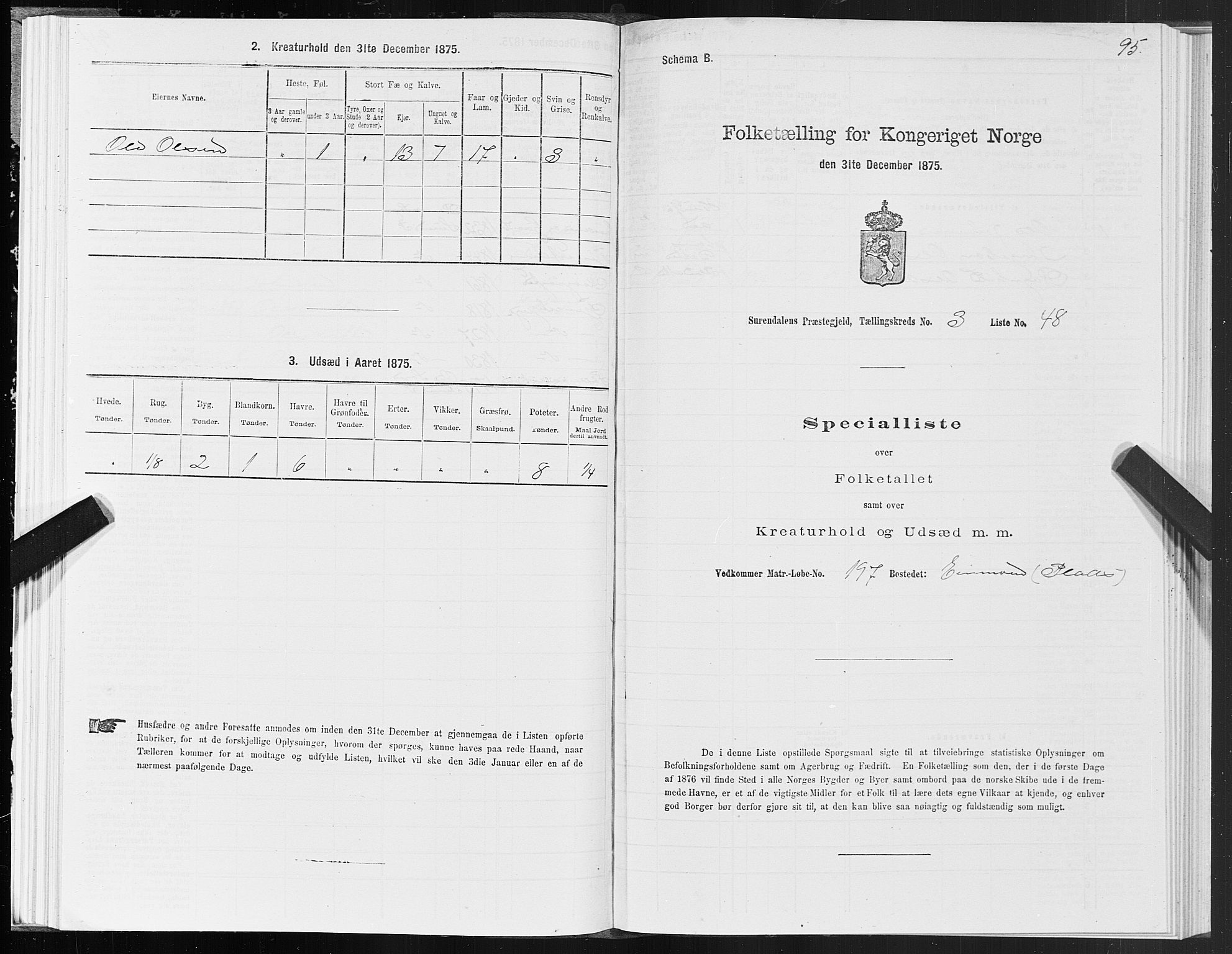 SAT, 1875 census for 1566P Surnadal, 1875, p. 2095