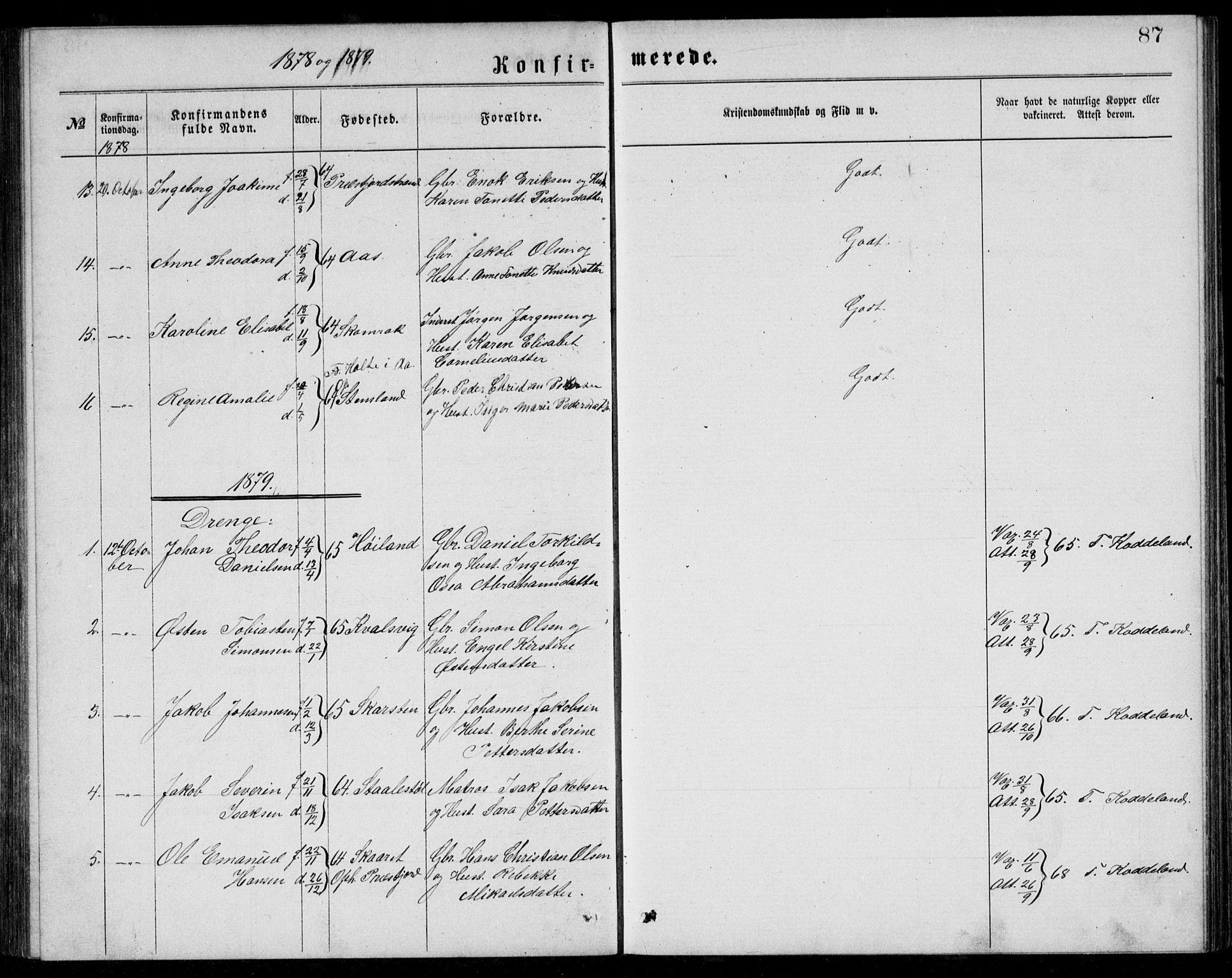 Lyngdal sokneprestkontor, AV/SAK-1111-0029/F/Fb/Fba/L0002: Parish register (copy) no. B 2, 1876-1886, p. 87