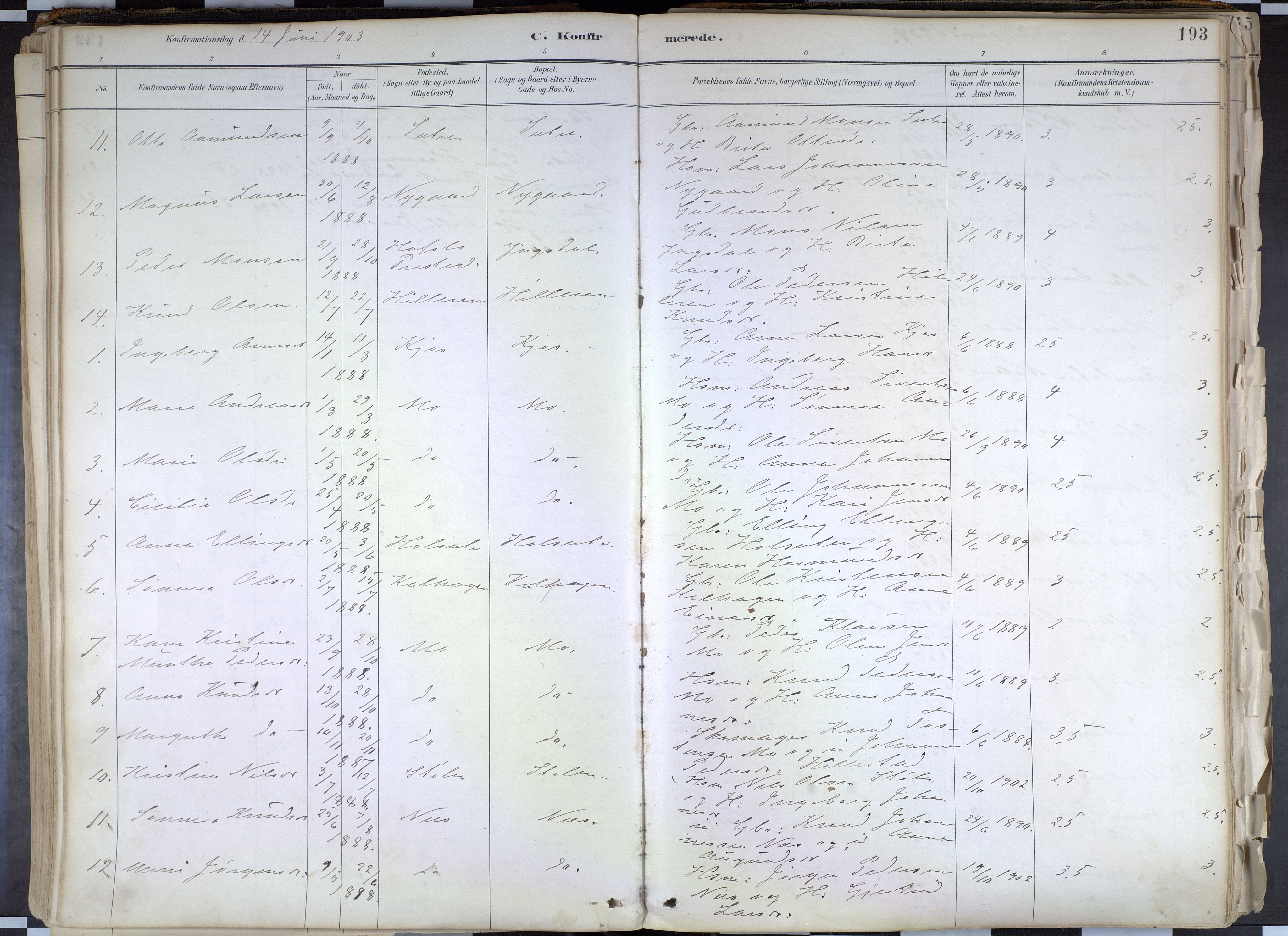 Hafslo sokneprestembete, AV/SAB-A-80301/H/Haa/Haab/L0001: Parish register (official) no. B 1, 1886-1945, p. 193