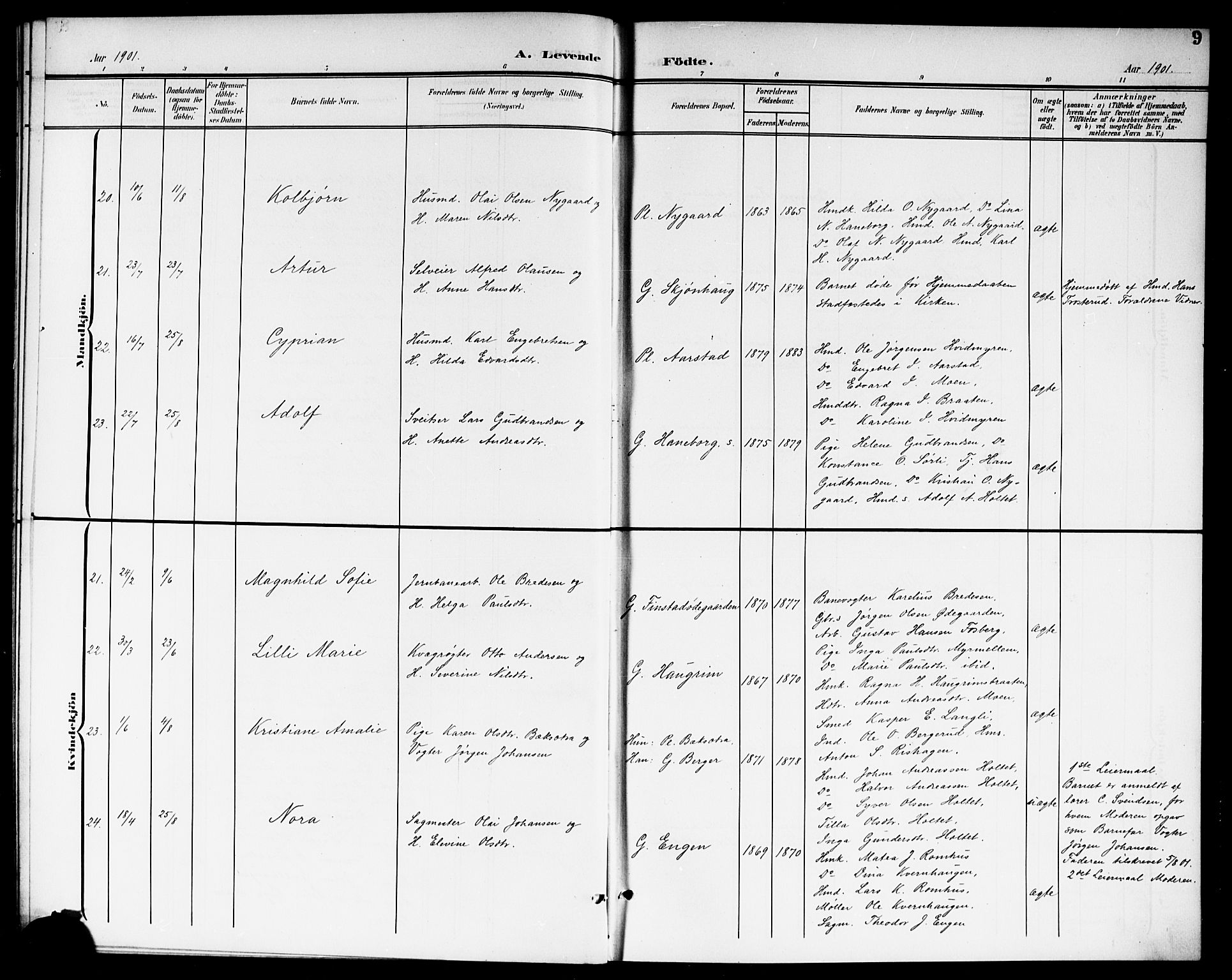 Aurskog prestekontor Kirkebøker, AV/SAO-A-10304a/G/Ga/L0004: Parish register (copy) no. I 4, 1901-1921, p. 9